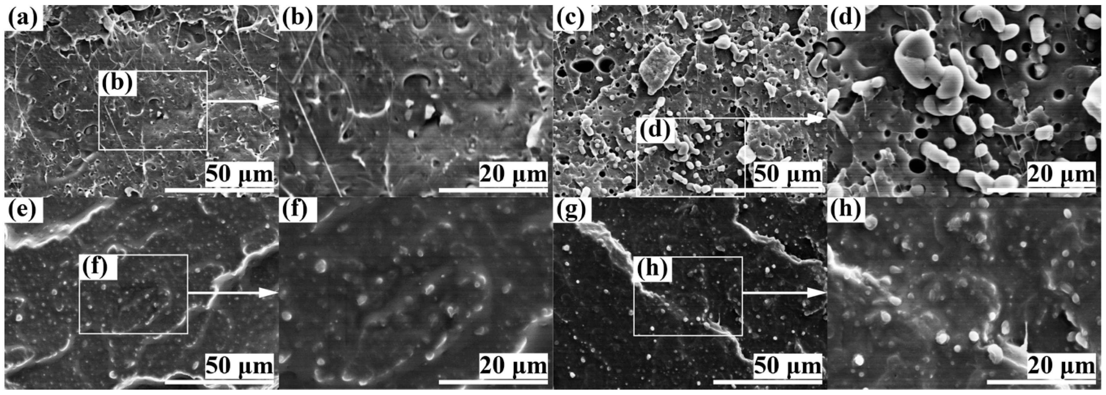 Polymers 11 00846 g002 Polymers 11 00846 g002
