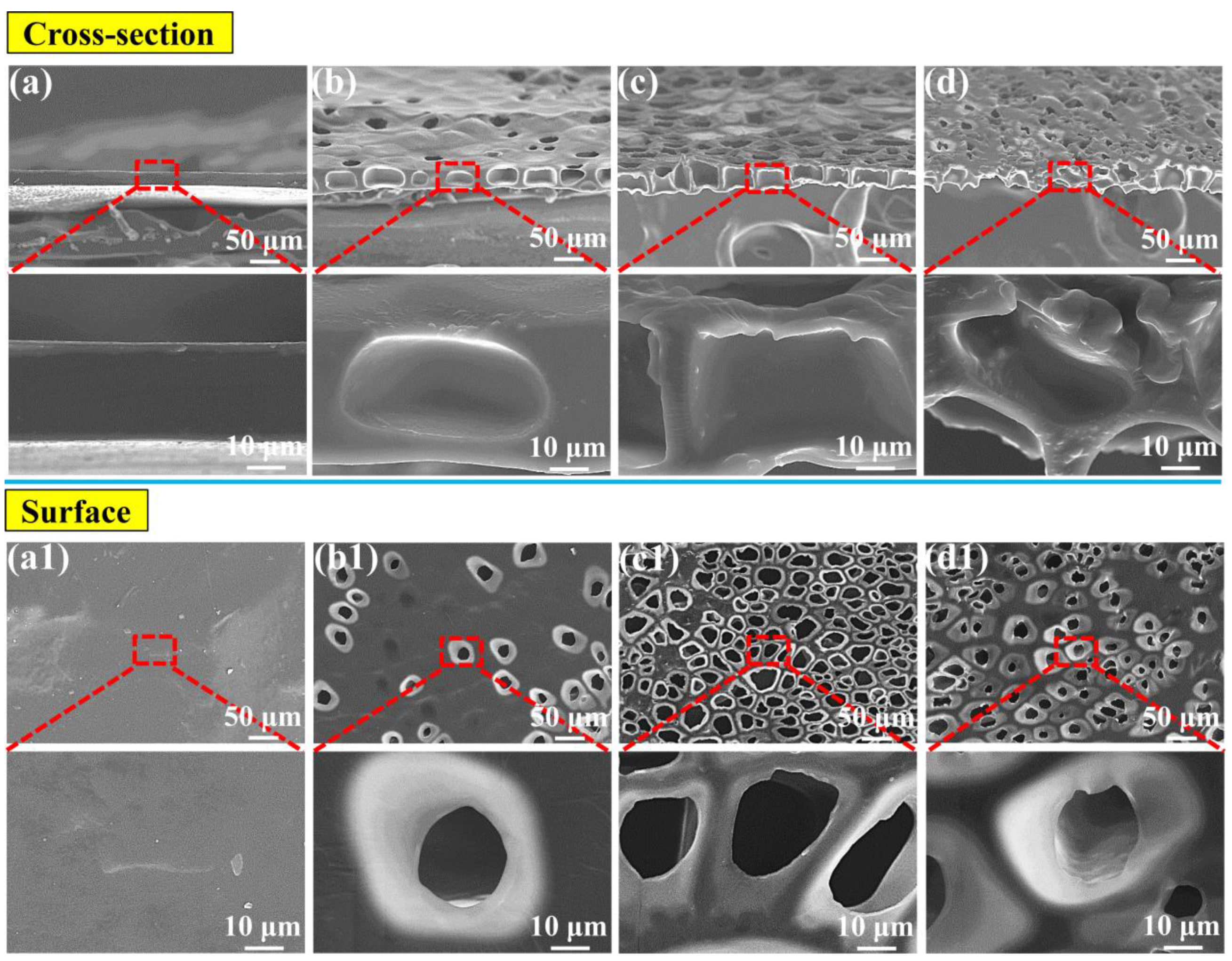 Polymers 11 00847 g005
