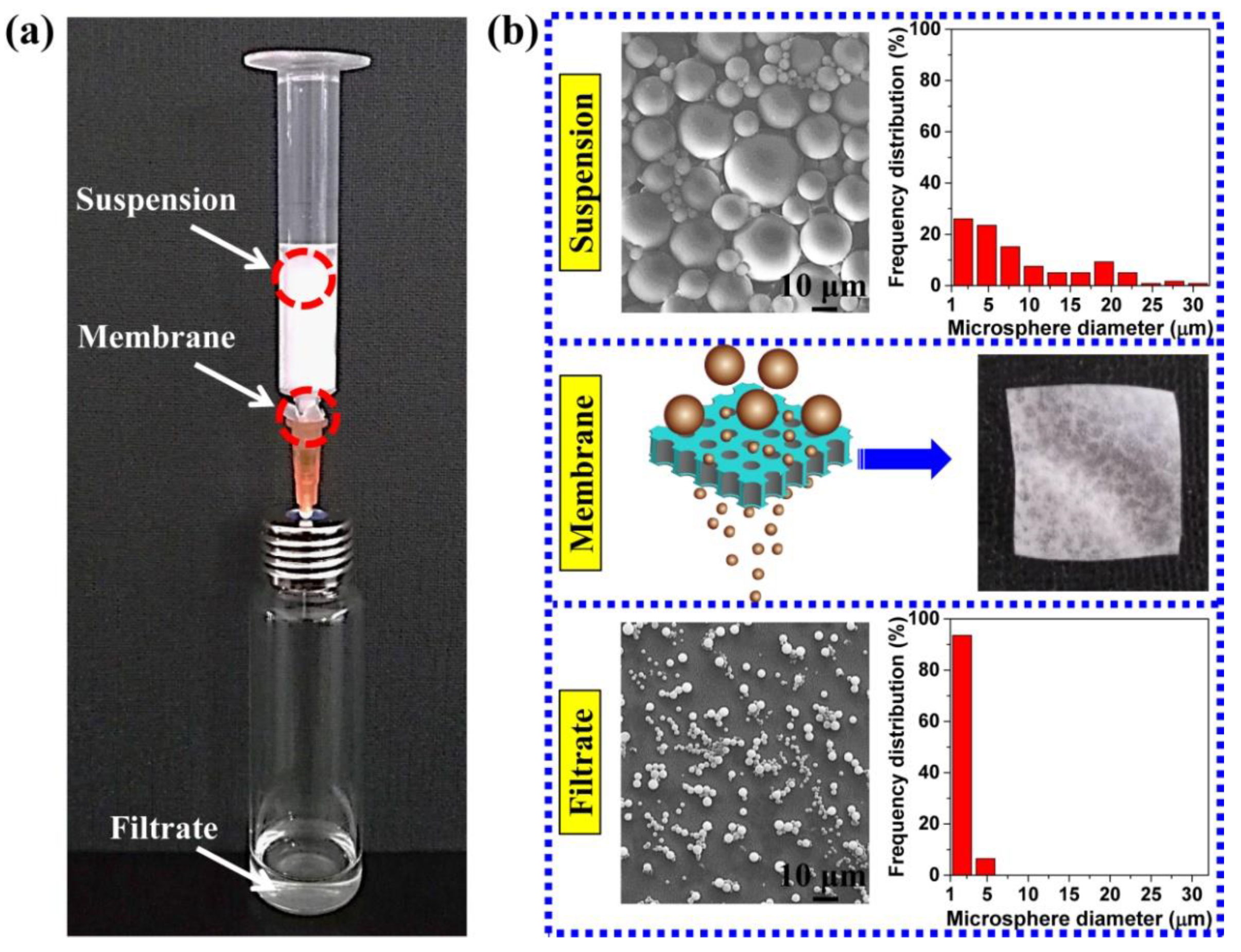 Polymers 11 00847 g010