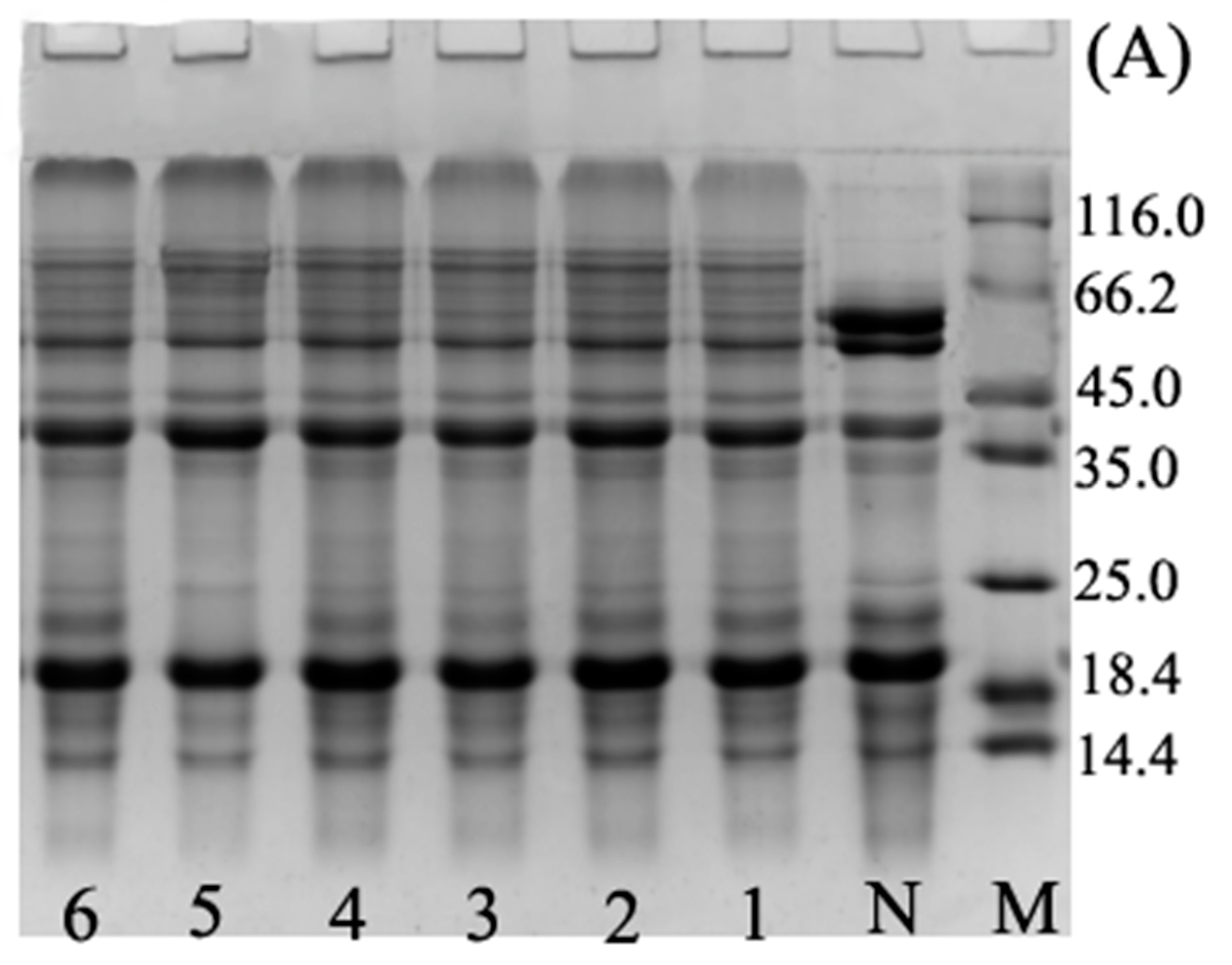 Polymers 11 00848 g001a