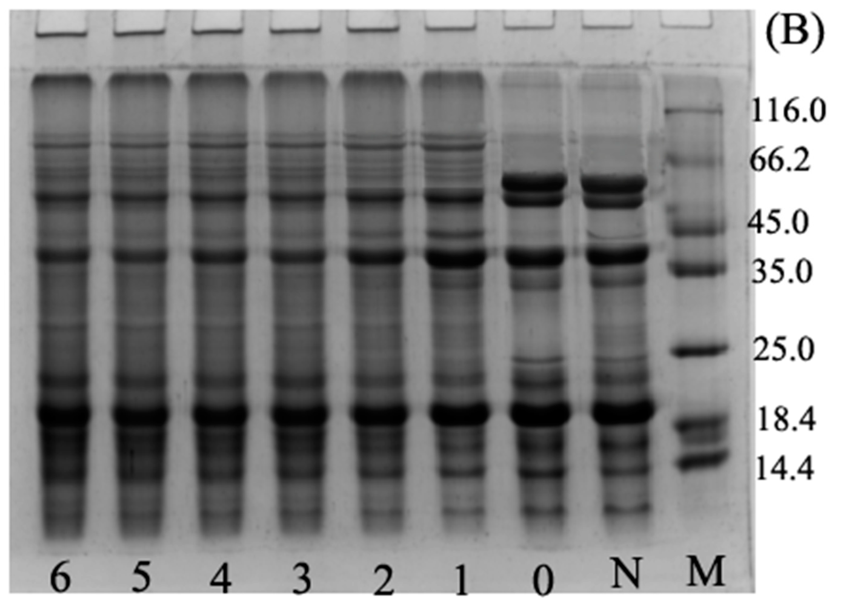 Polymers 11 00848 g001b