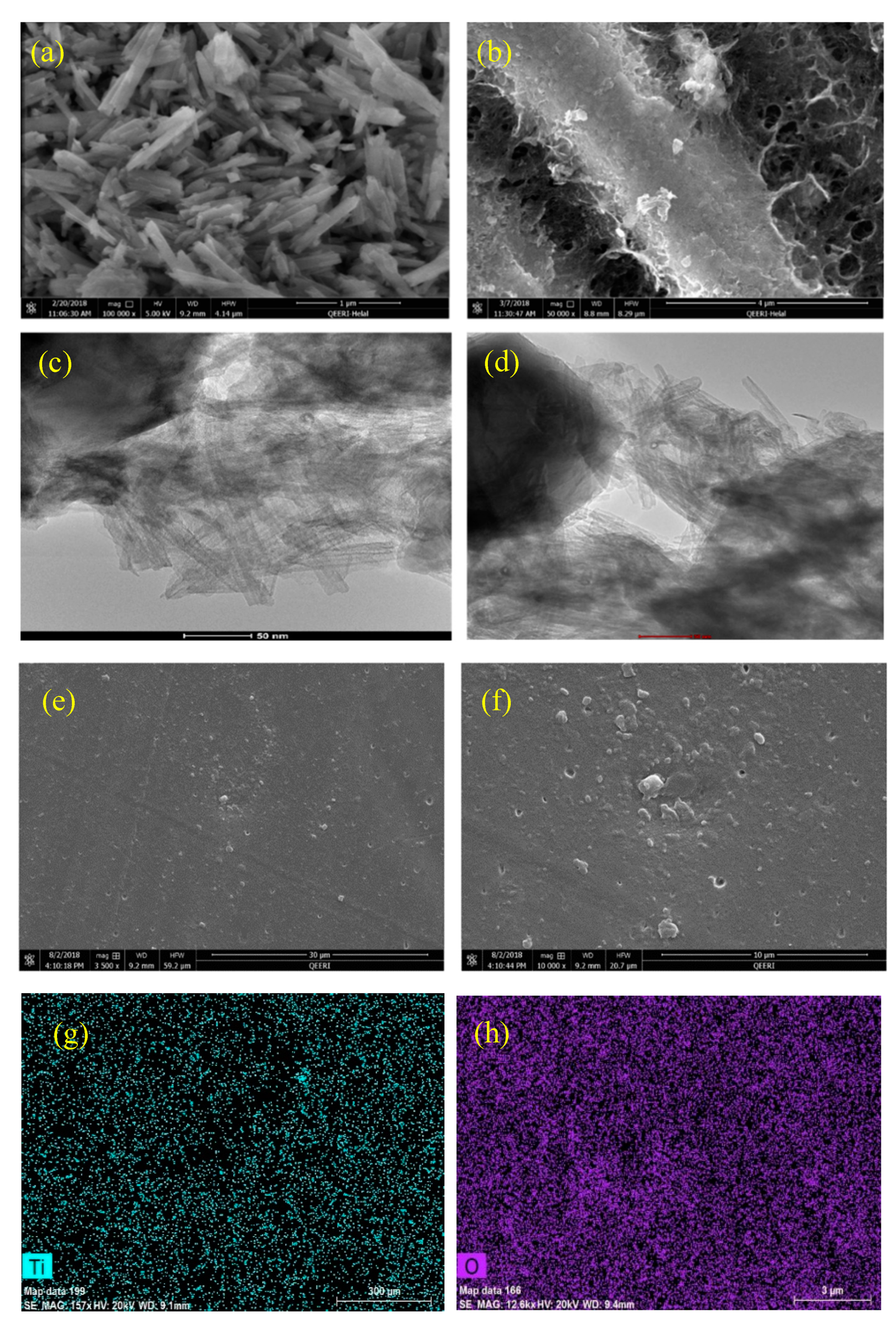 Polymers 11 00852 g002 Polymers 11 00852 g002