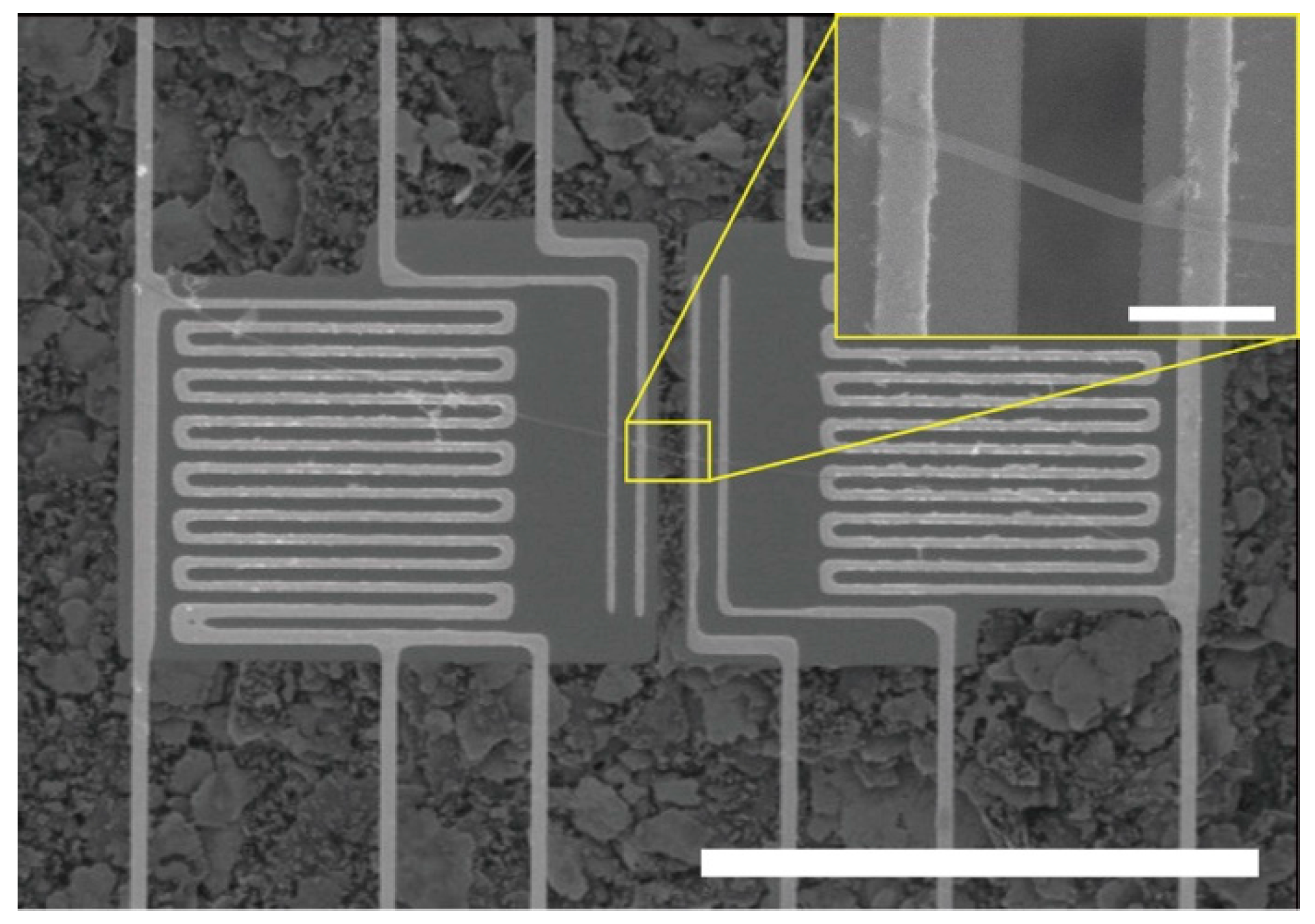 Polymers 11 00858 g001