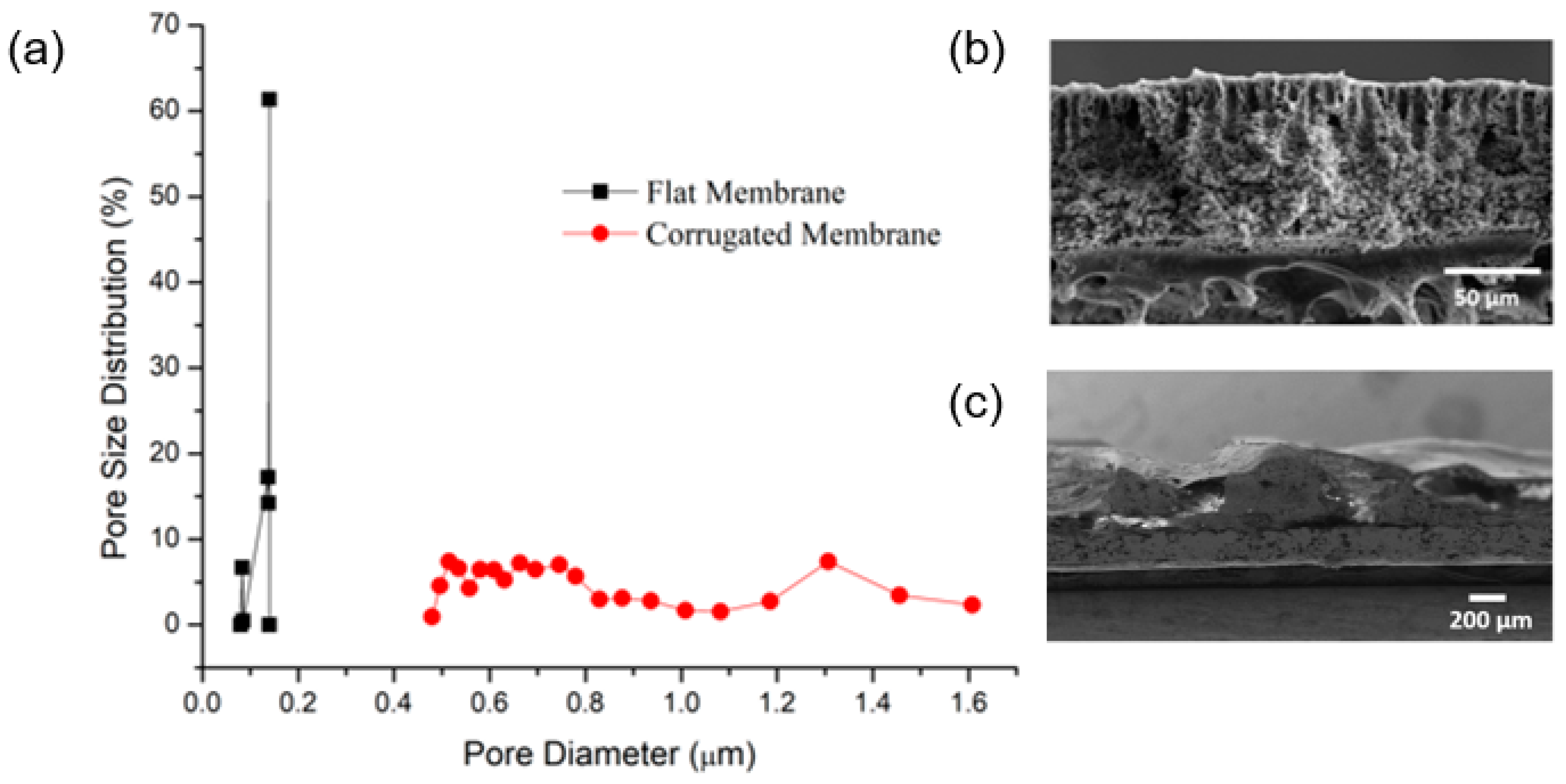 Polymers 11 00865 g004 Polymers 11 00865 g004