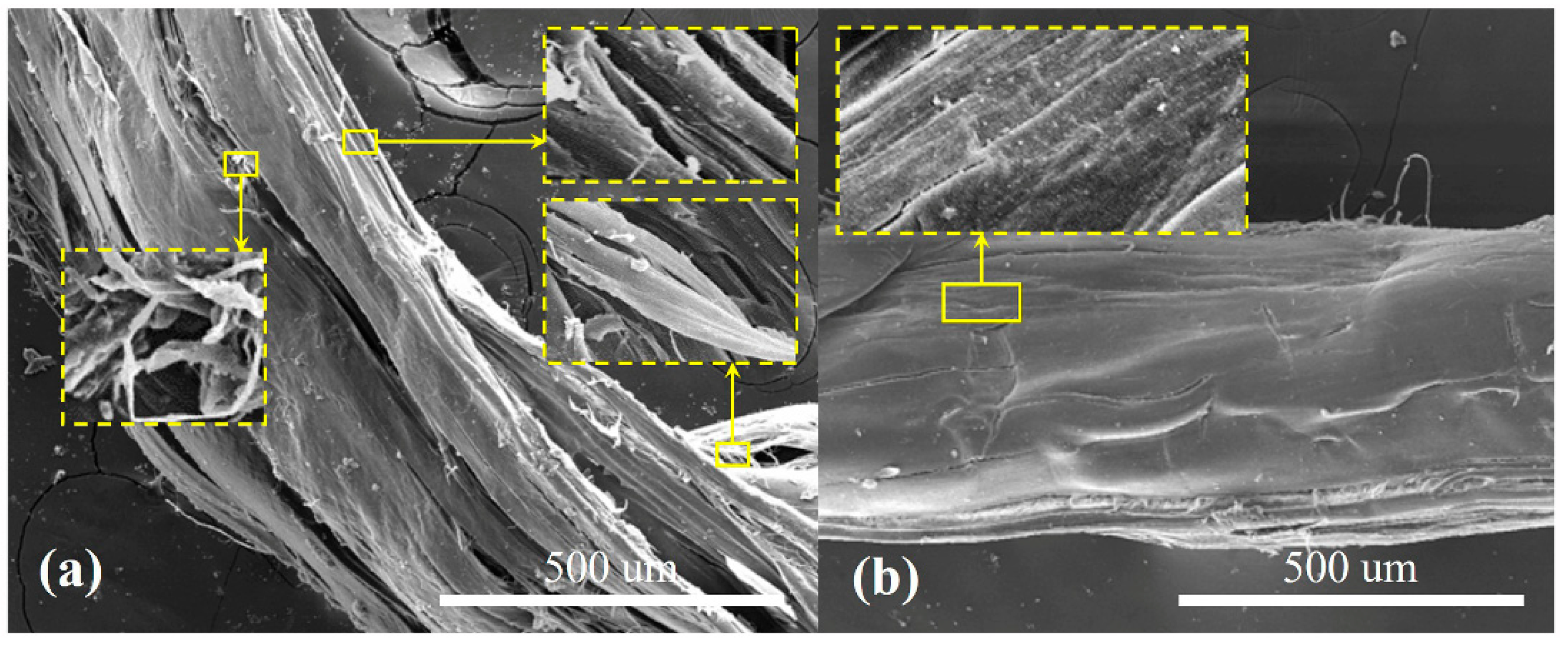 Polymers 11 00869 g009