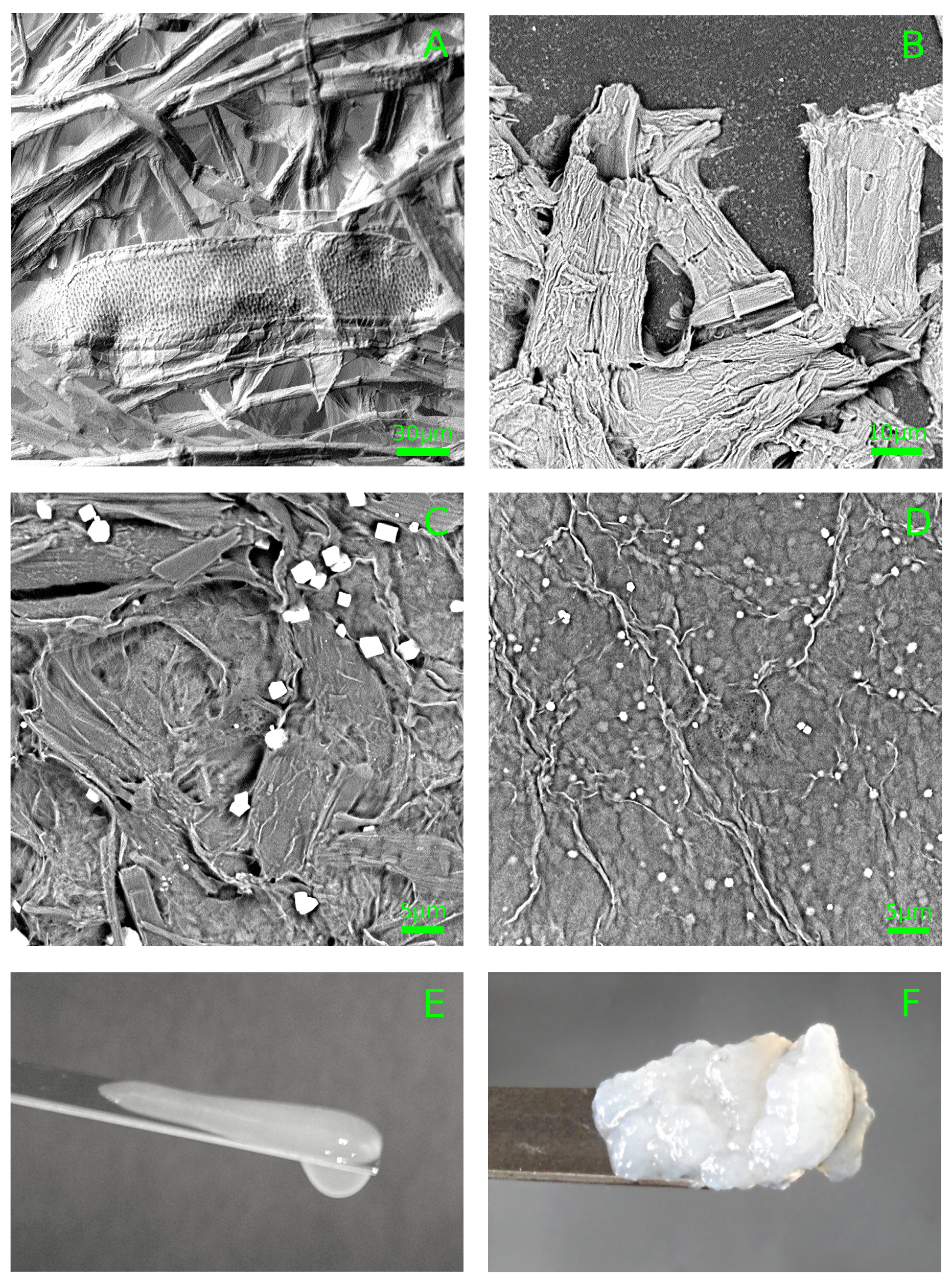 Polymers 11 00873 g001
