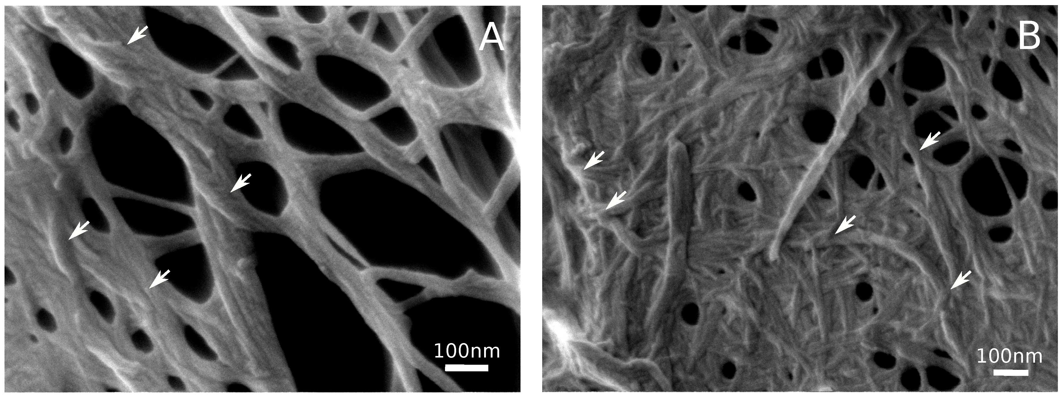 Polymers 11 00873 g003