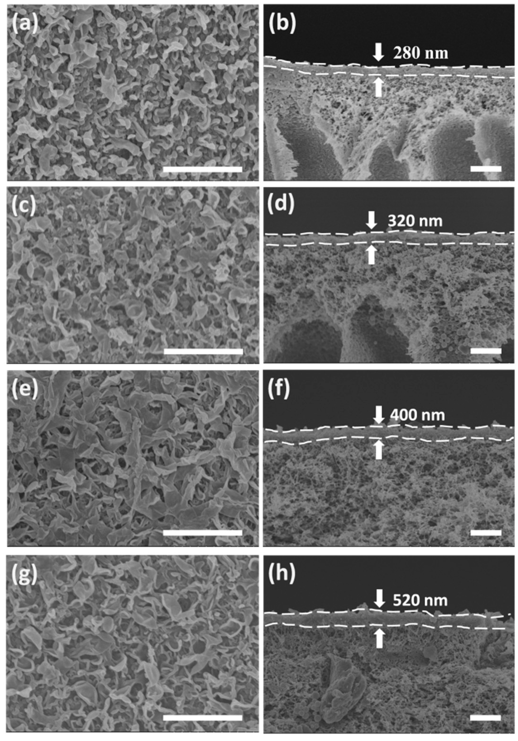 Polymers 11 00879 g003