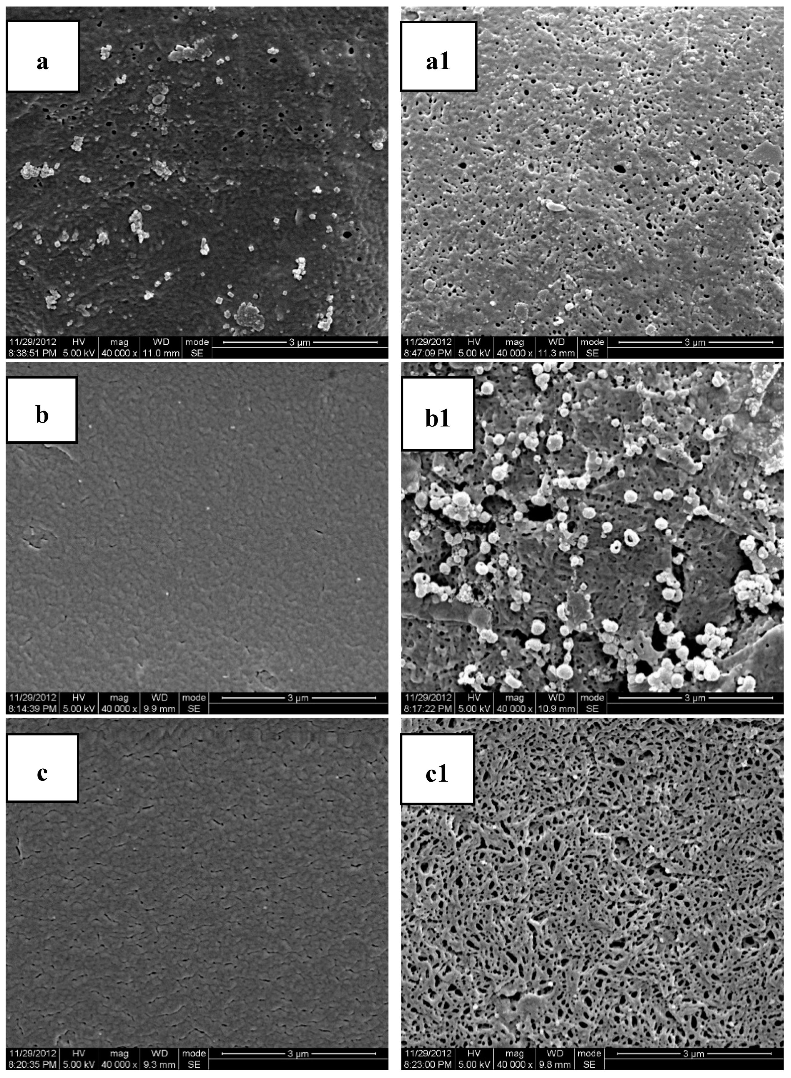 Polymers 11 00880 g003a Polymers 11 00880 g003a