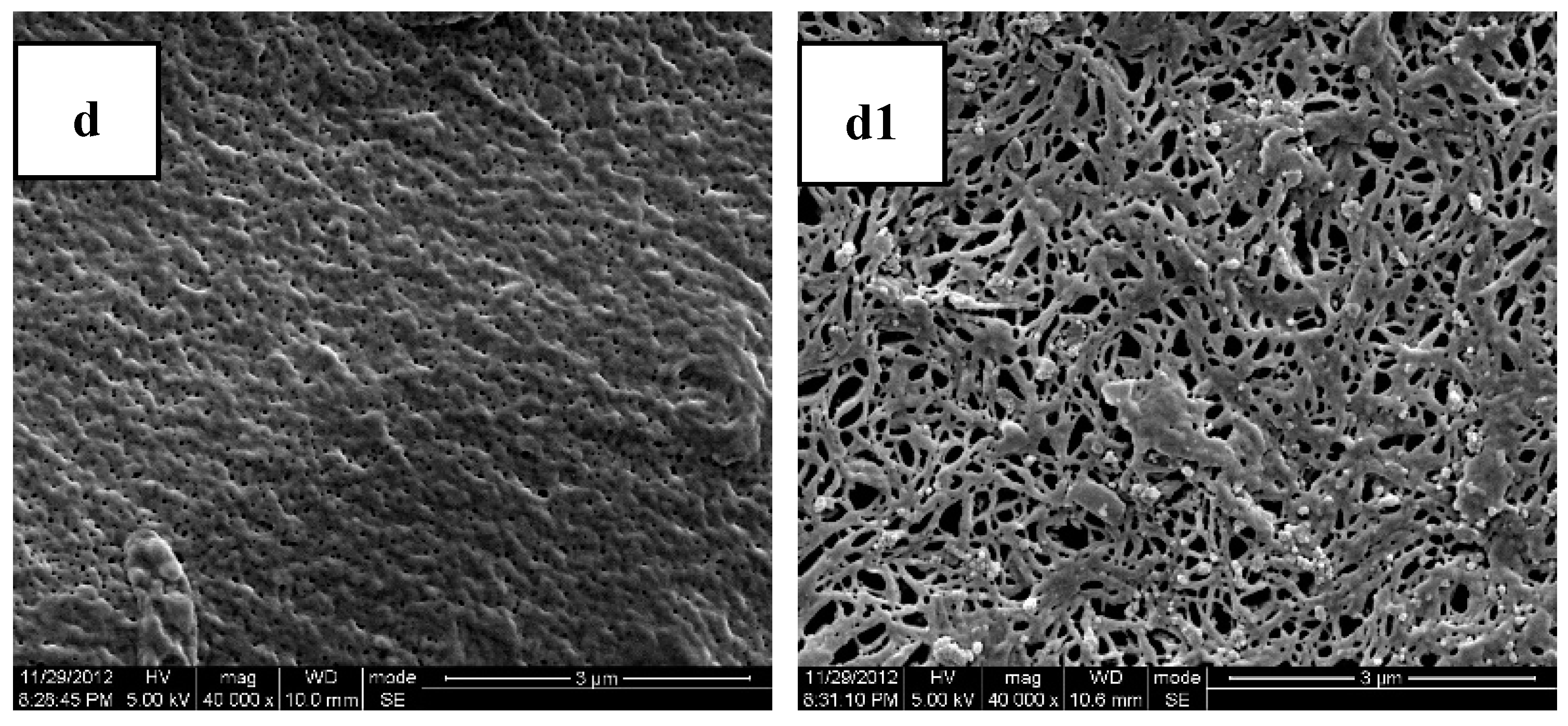 Polymers 11 00880 g003b Polymers 11 00880 g003b