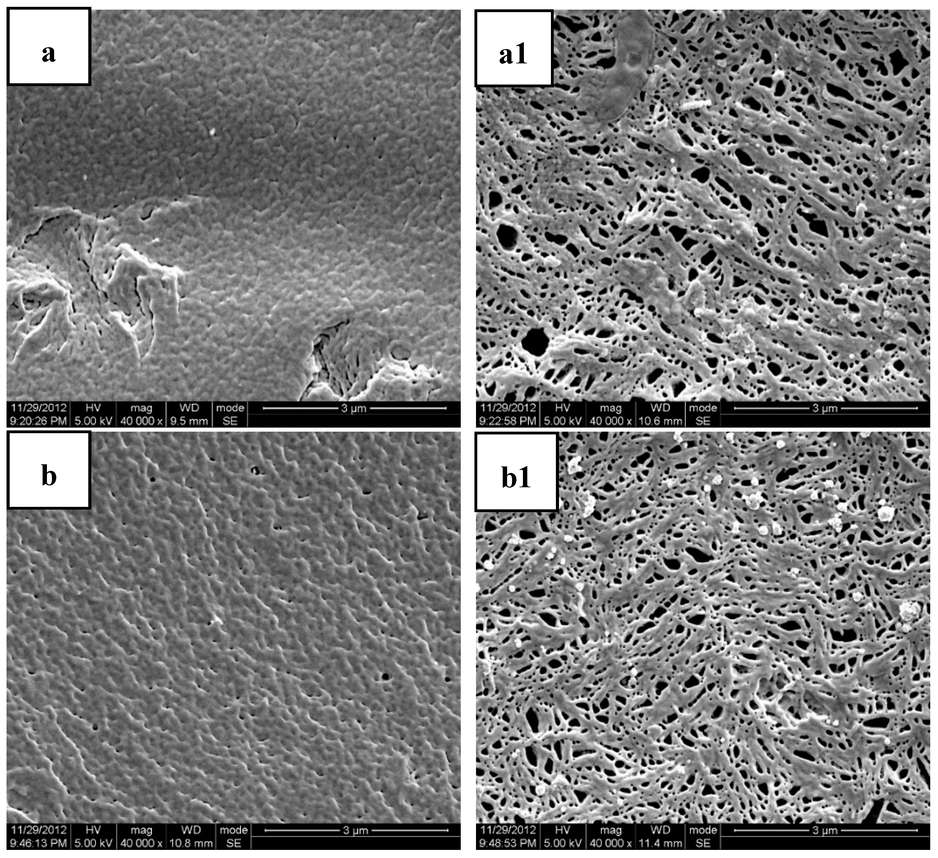 Polymers 11 00880 g006a Polymers 11 00880 g006a