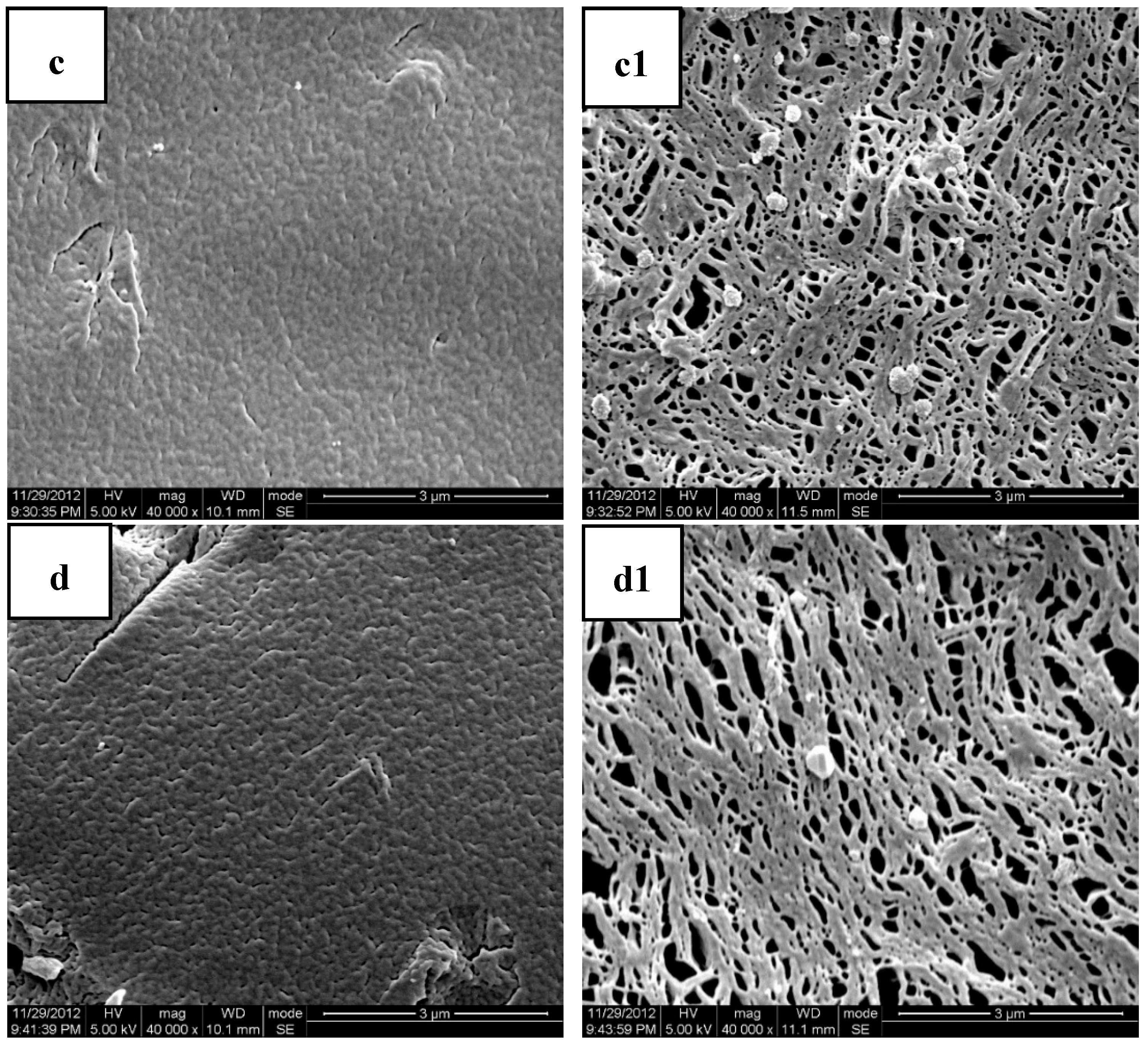 Polymers 11 00880 g006b Polymers 11 00880 g006b