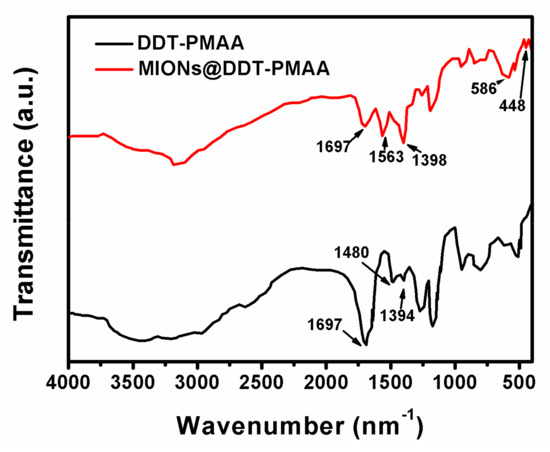 Fe3O4 Nanoparticles Functionalized with Polymer Ligand for