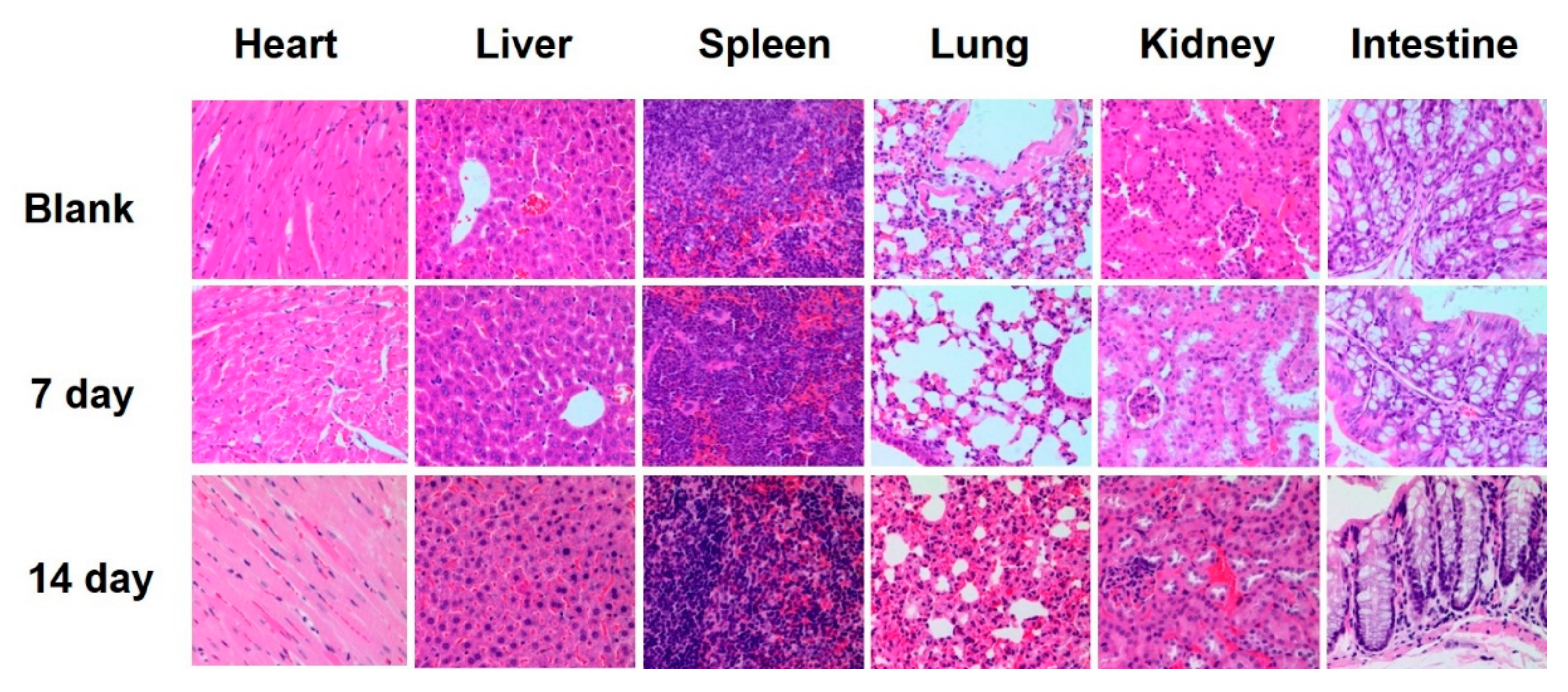 Polymers 11 00882 g008
