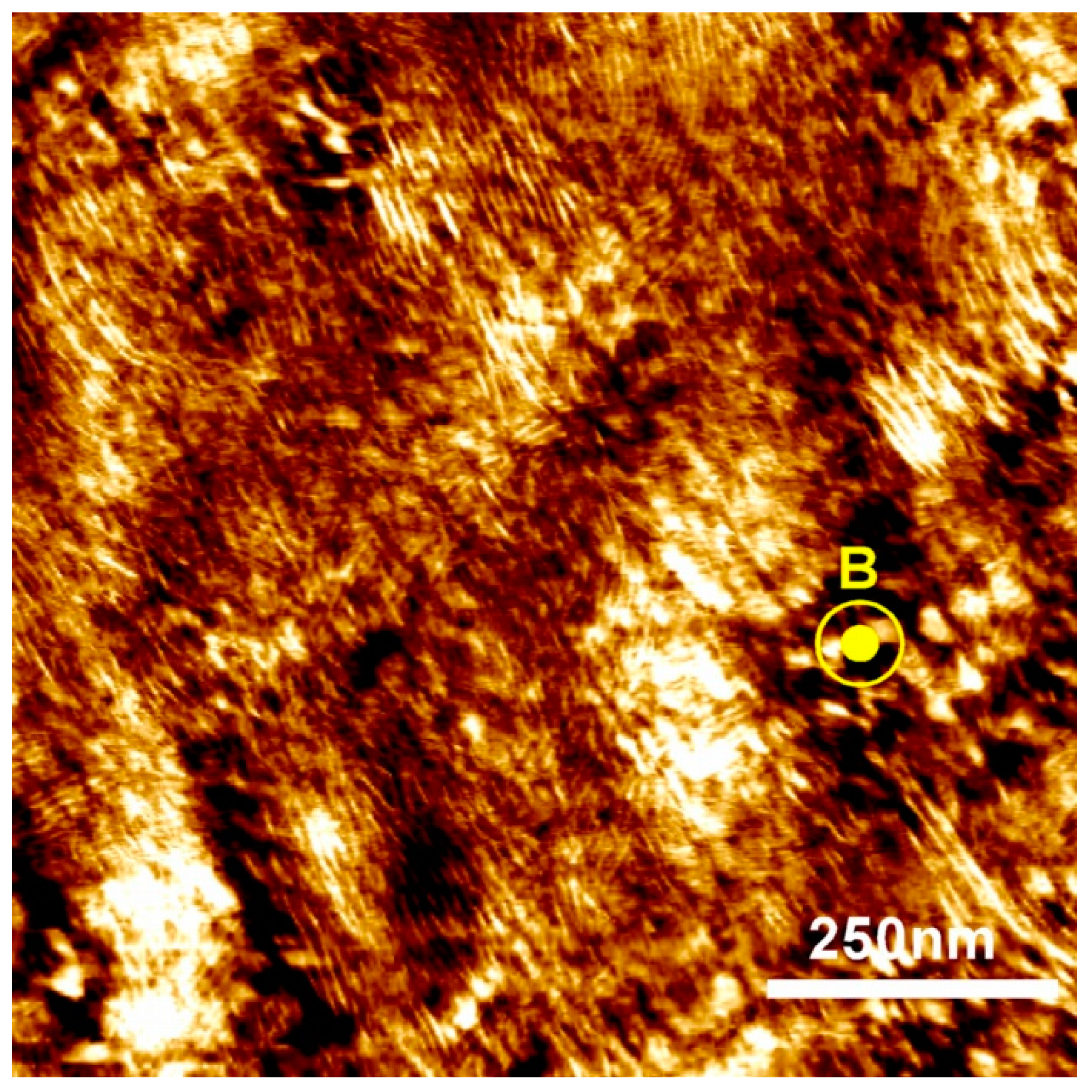 Polymers 11 00887 g006