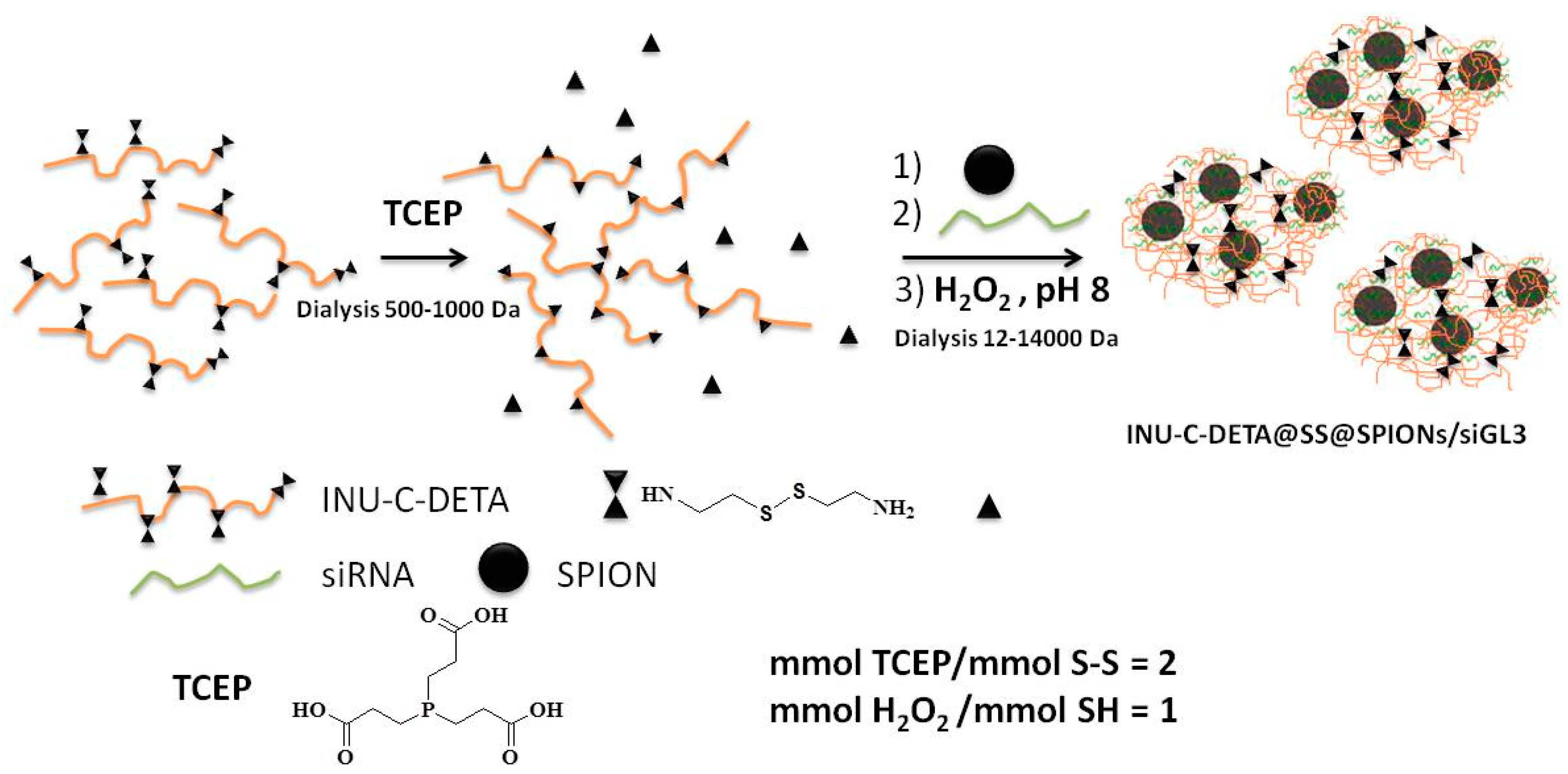 Polymers 11 00889 g004
