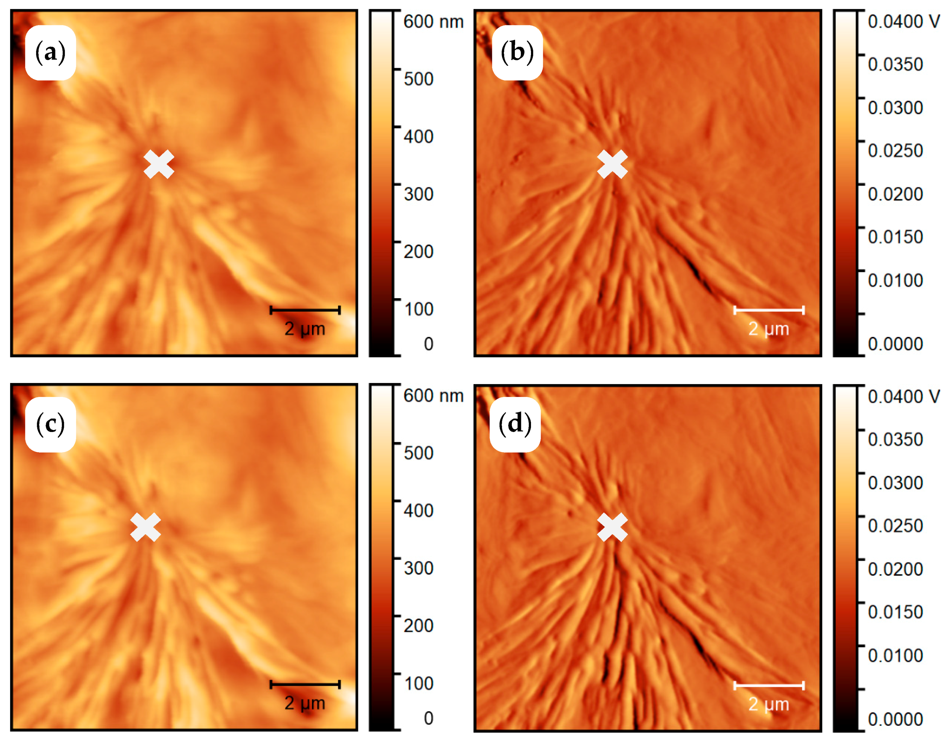 Polymers 11 00890 g005