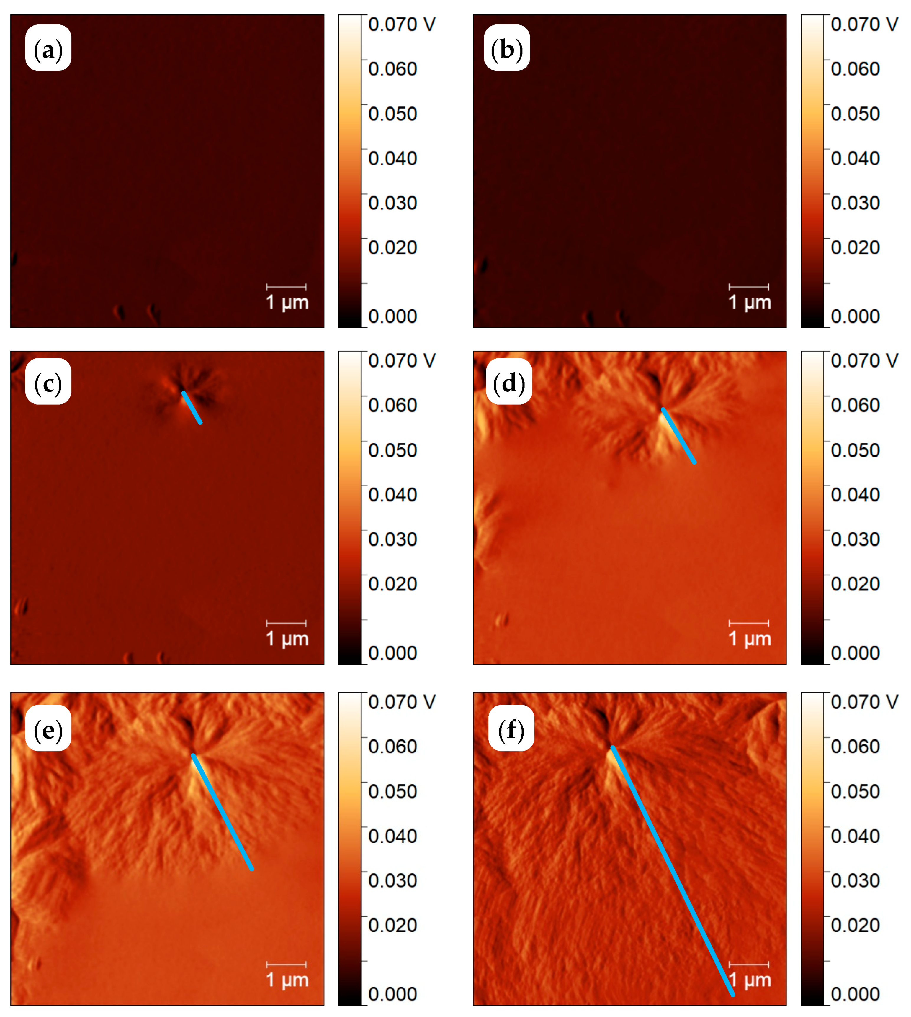 Polymers 11 00890 g008