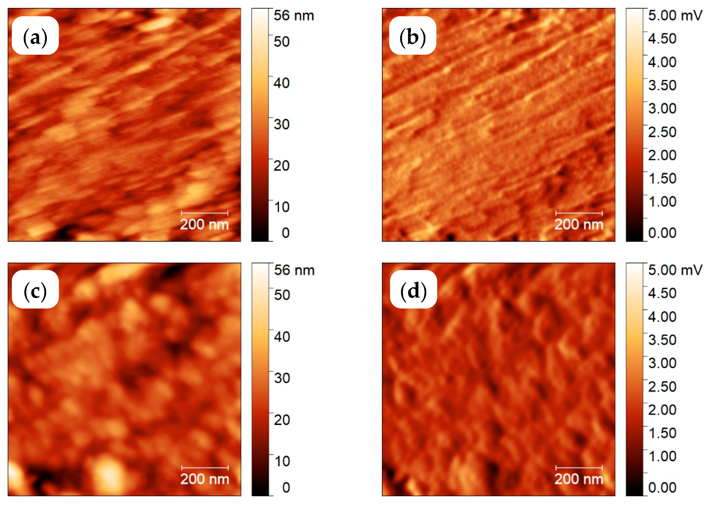 Polymers 11 00890 g012