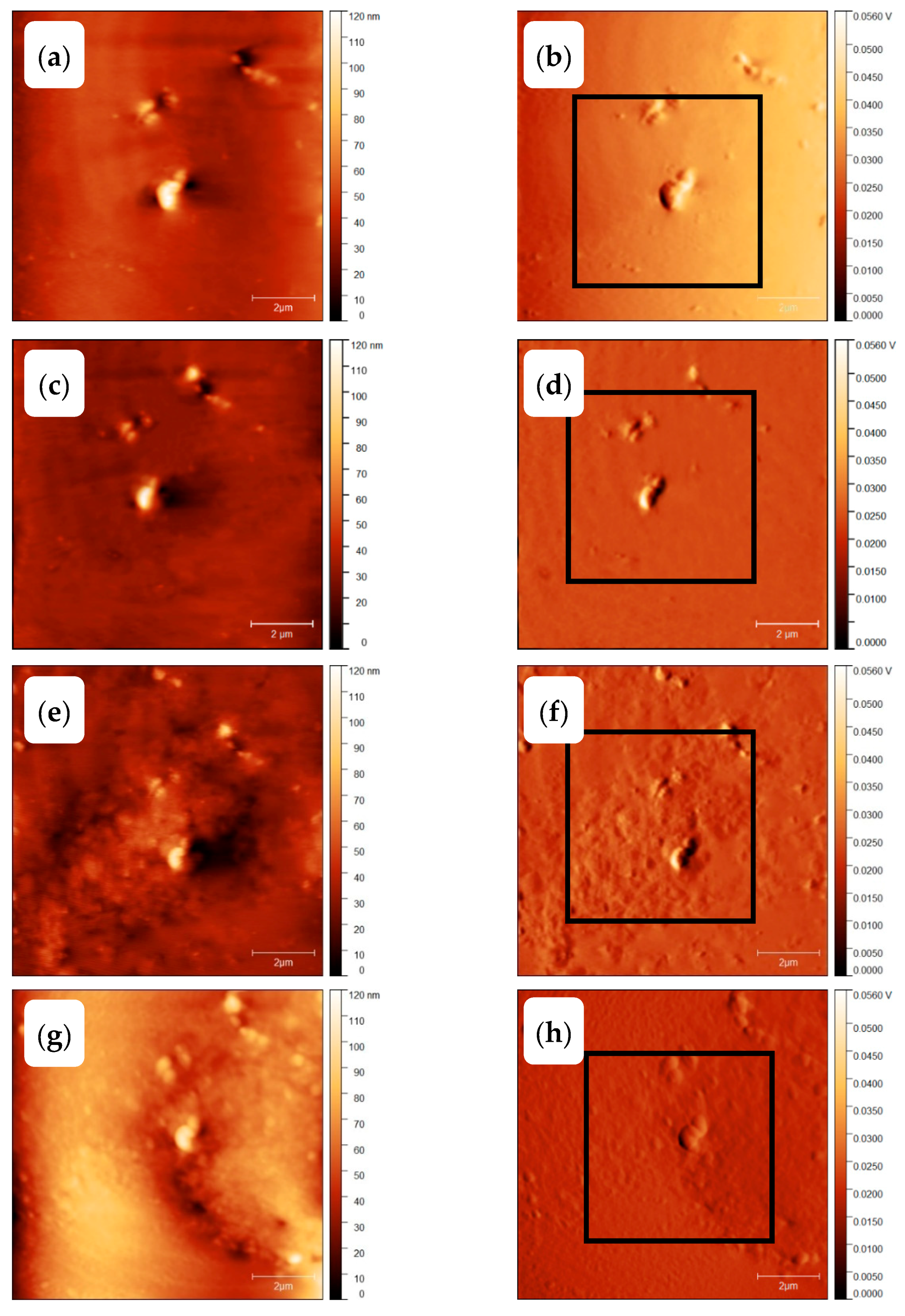 Polymers 11 00890 g015