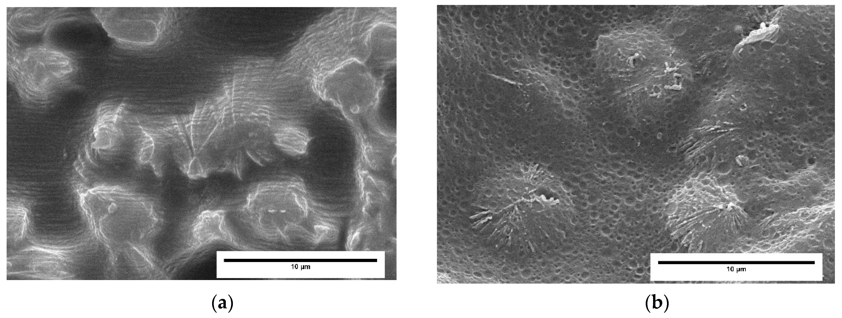Polymers 11 00894 g005 Polymers 11 00894 g005