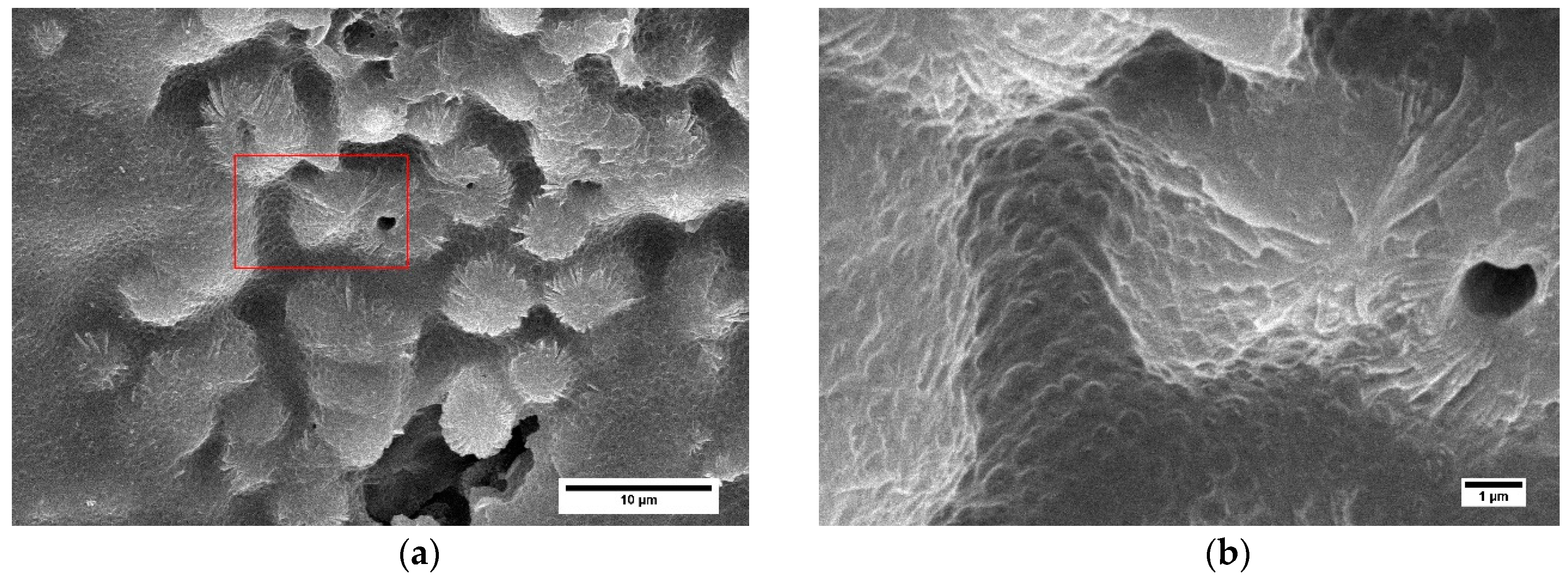 Polymers 11 00894 g006 Polymers 11 00894 g006