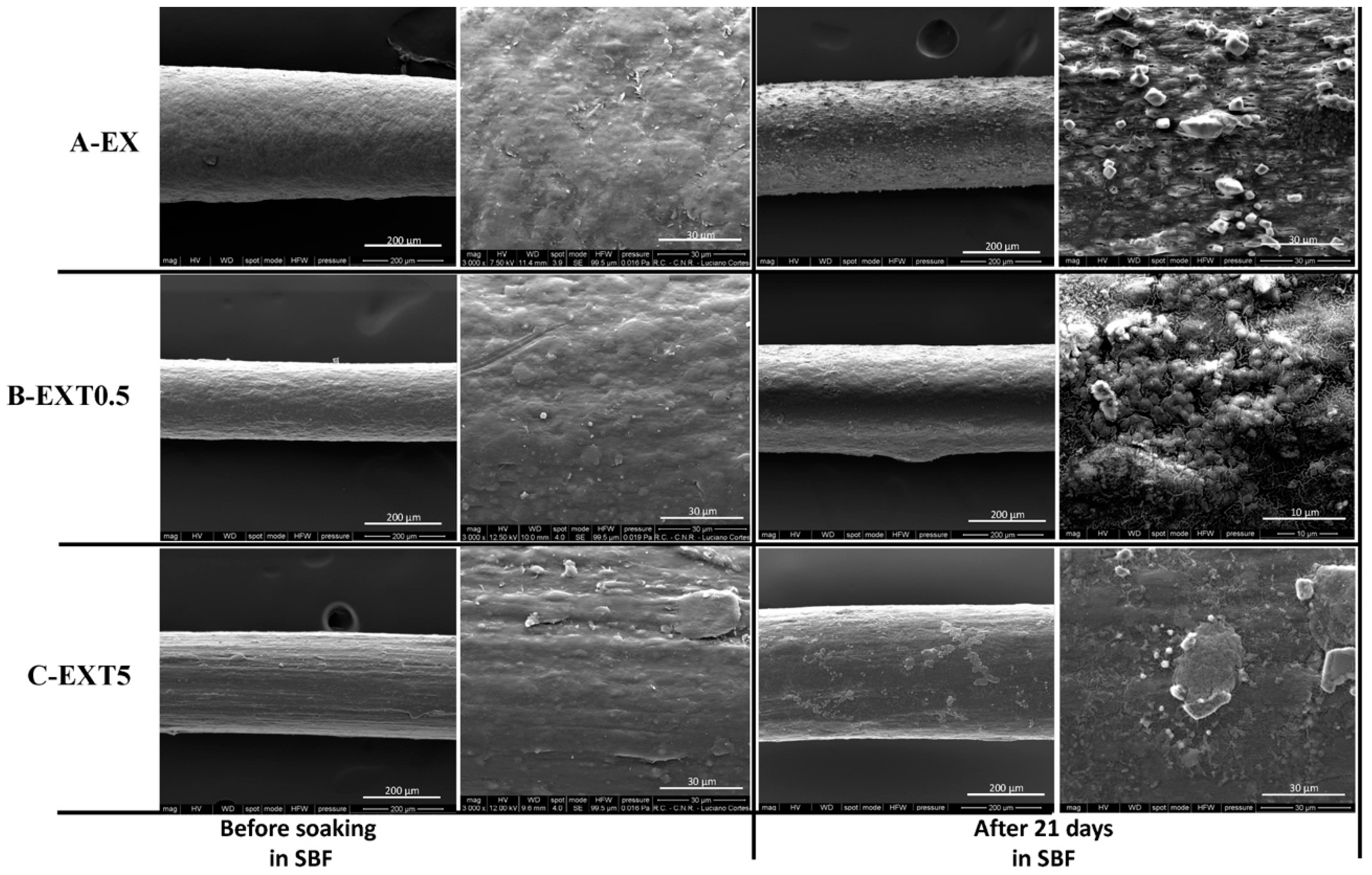 Polymers 11 00901 g006