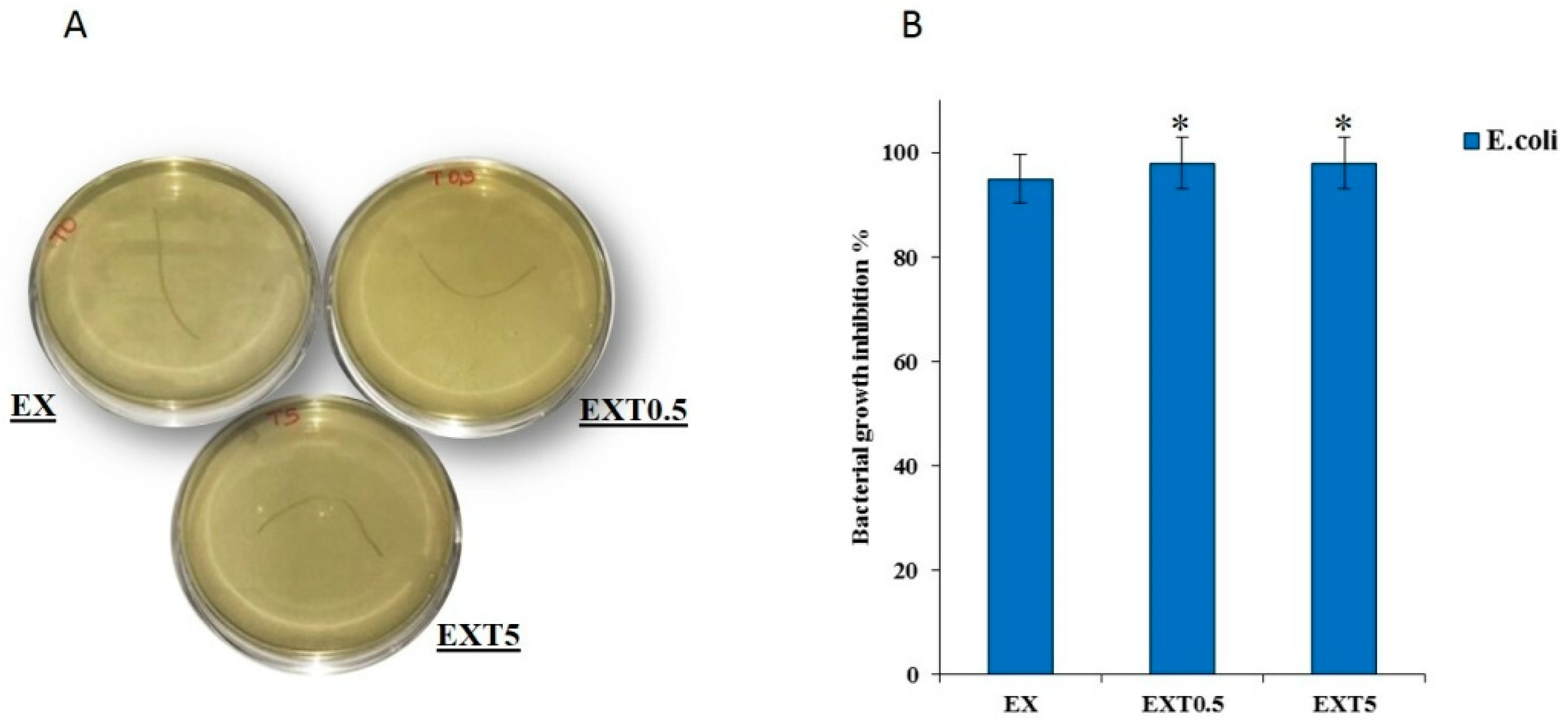 Polymers 11 00901 g009