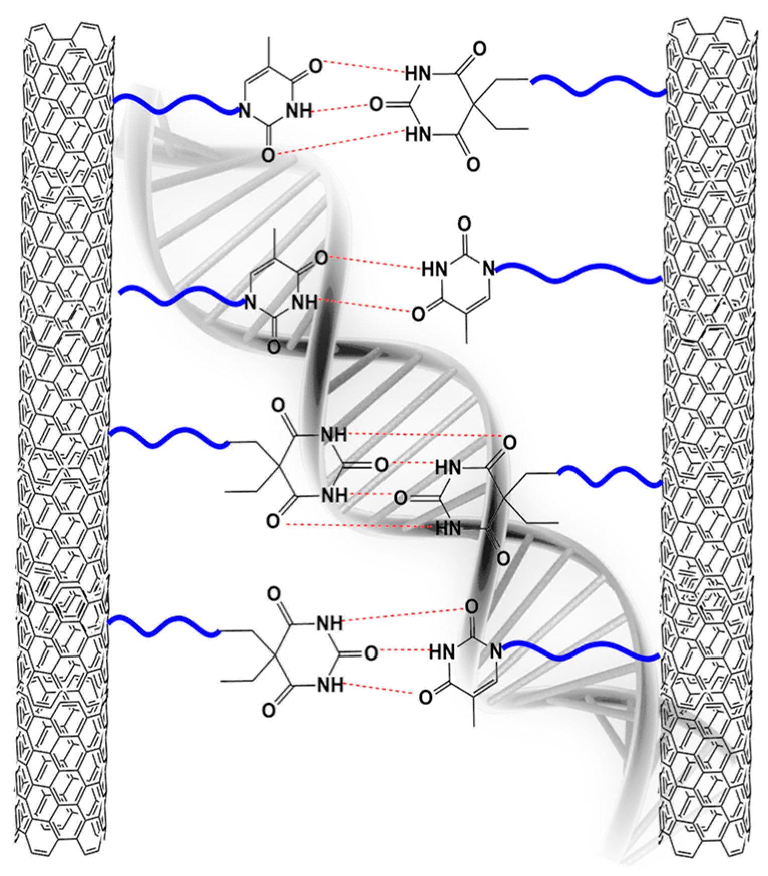 Polymers 11 00903 g001