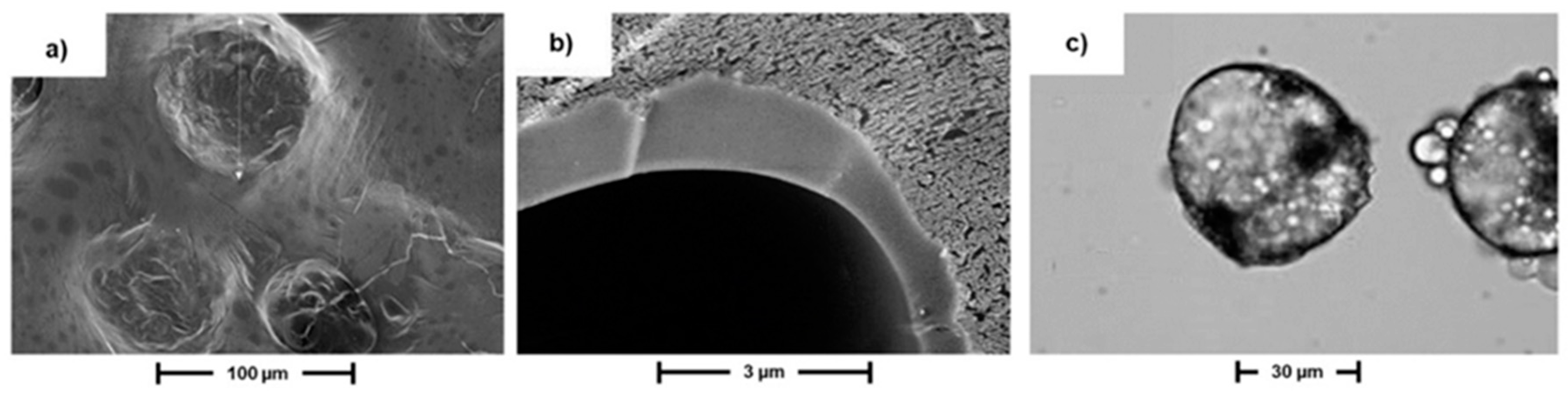 Polymers 11 00904 g003