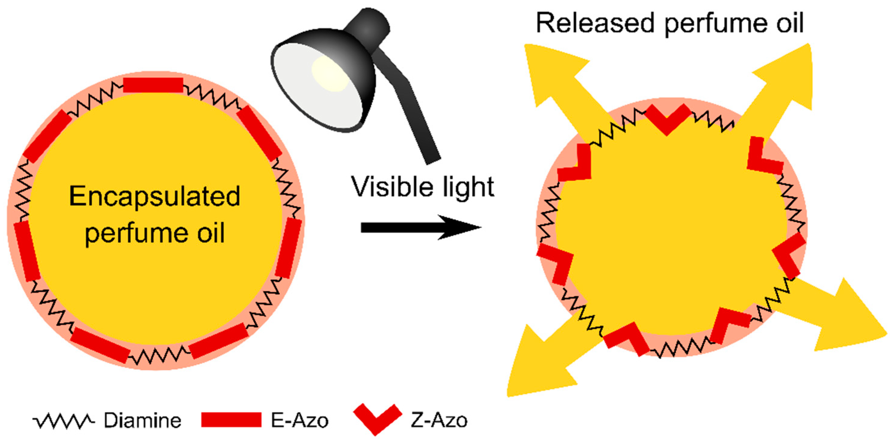Polymers 11 00904 g011