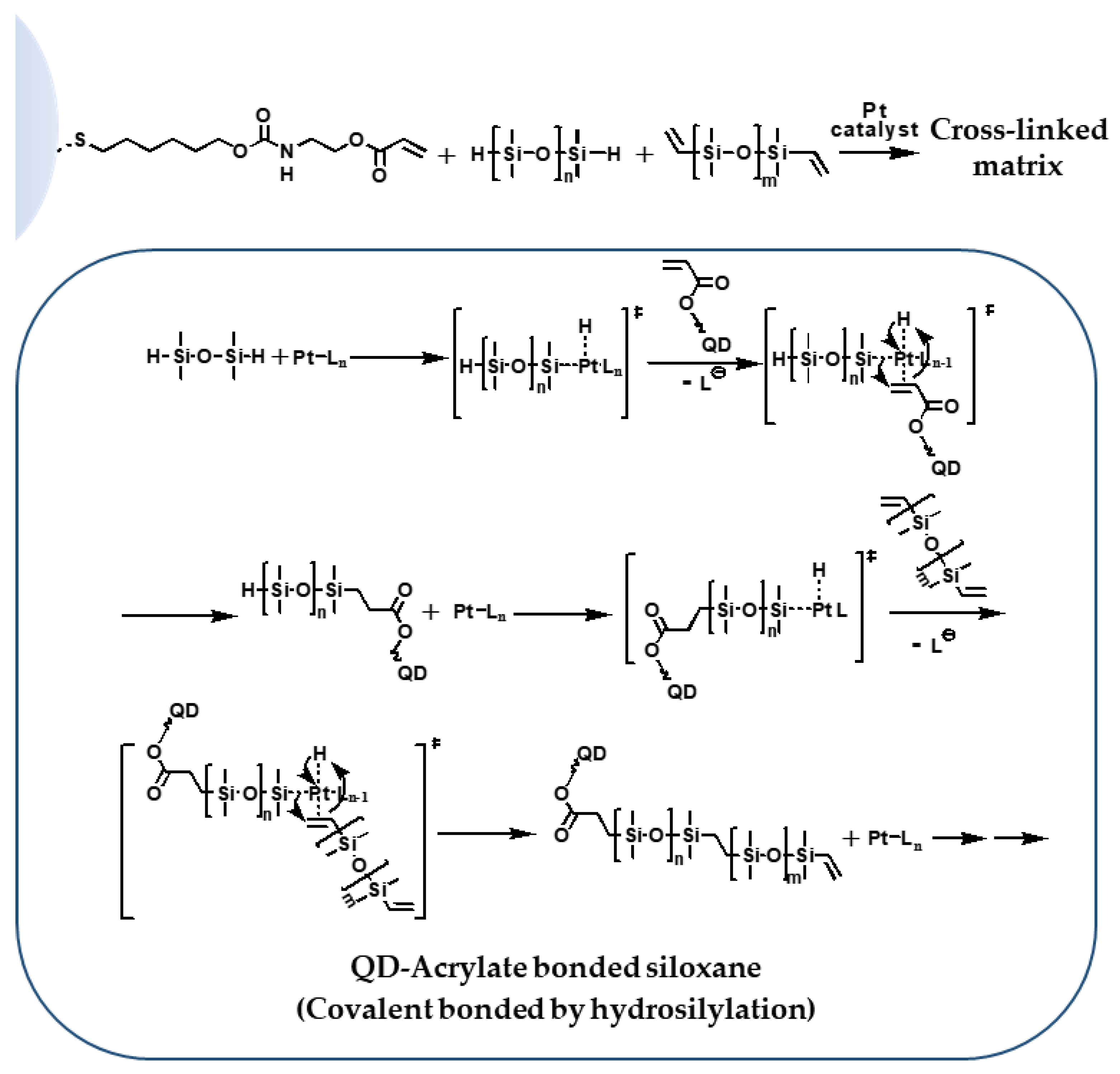 Polymers 11 00905 g003