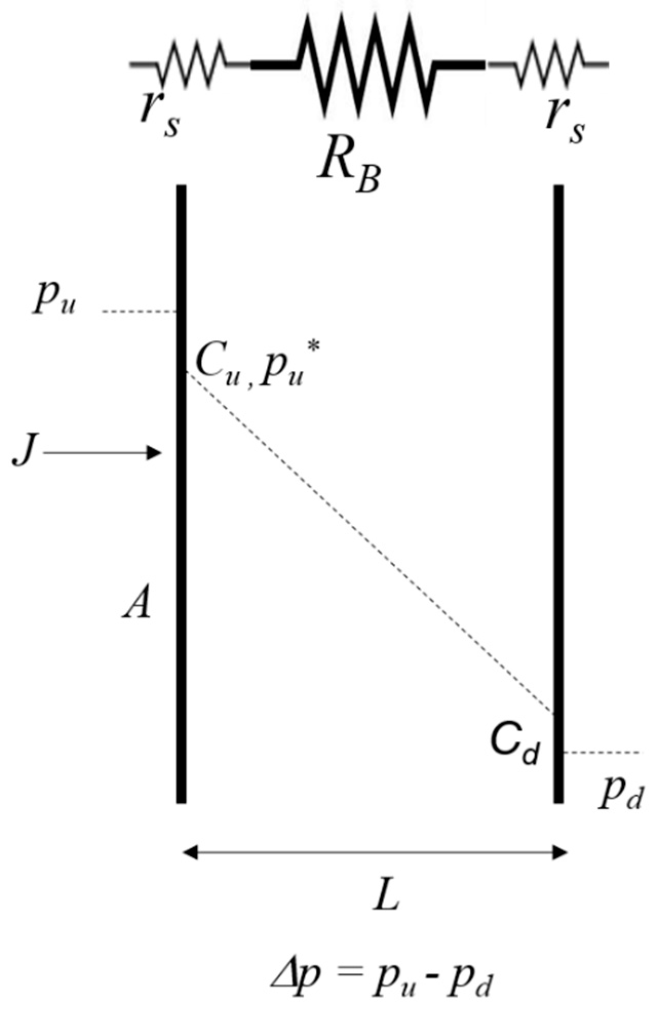 Polymers 11 00910 g001