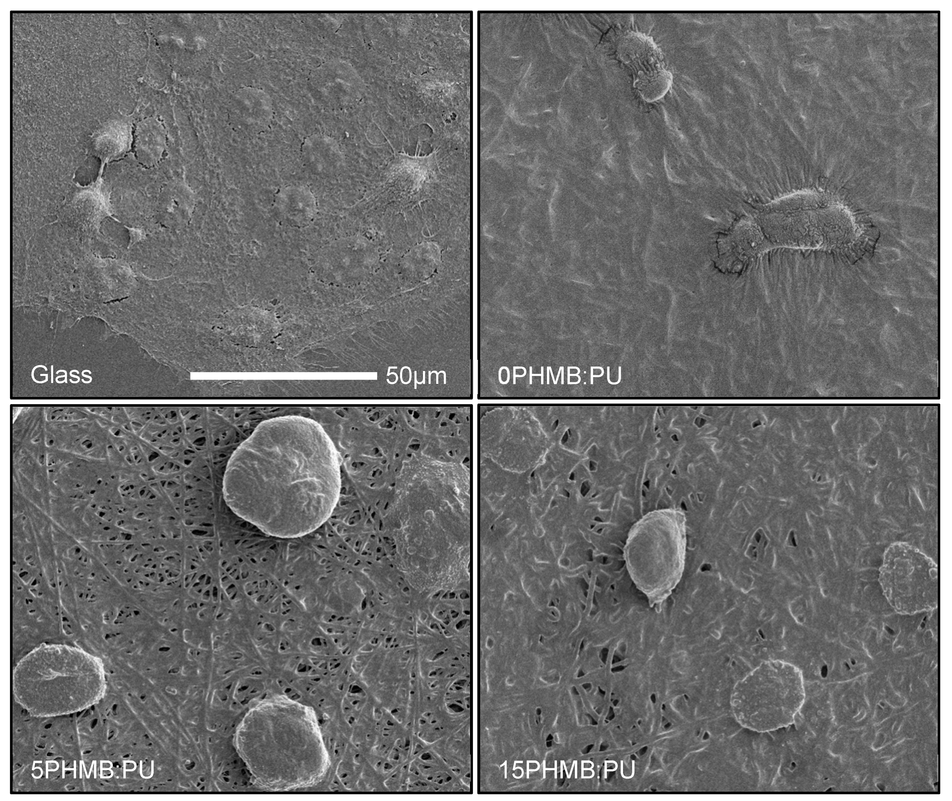 Polymers 11 00915 g011 Polymers 11 00915 g011