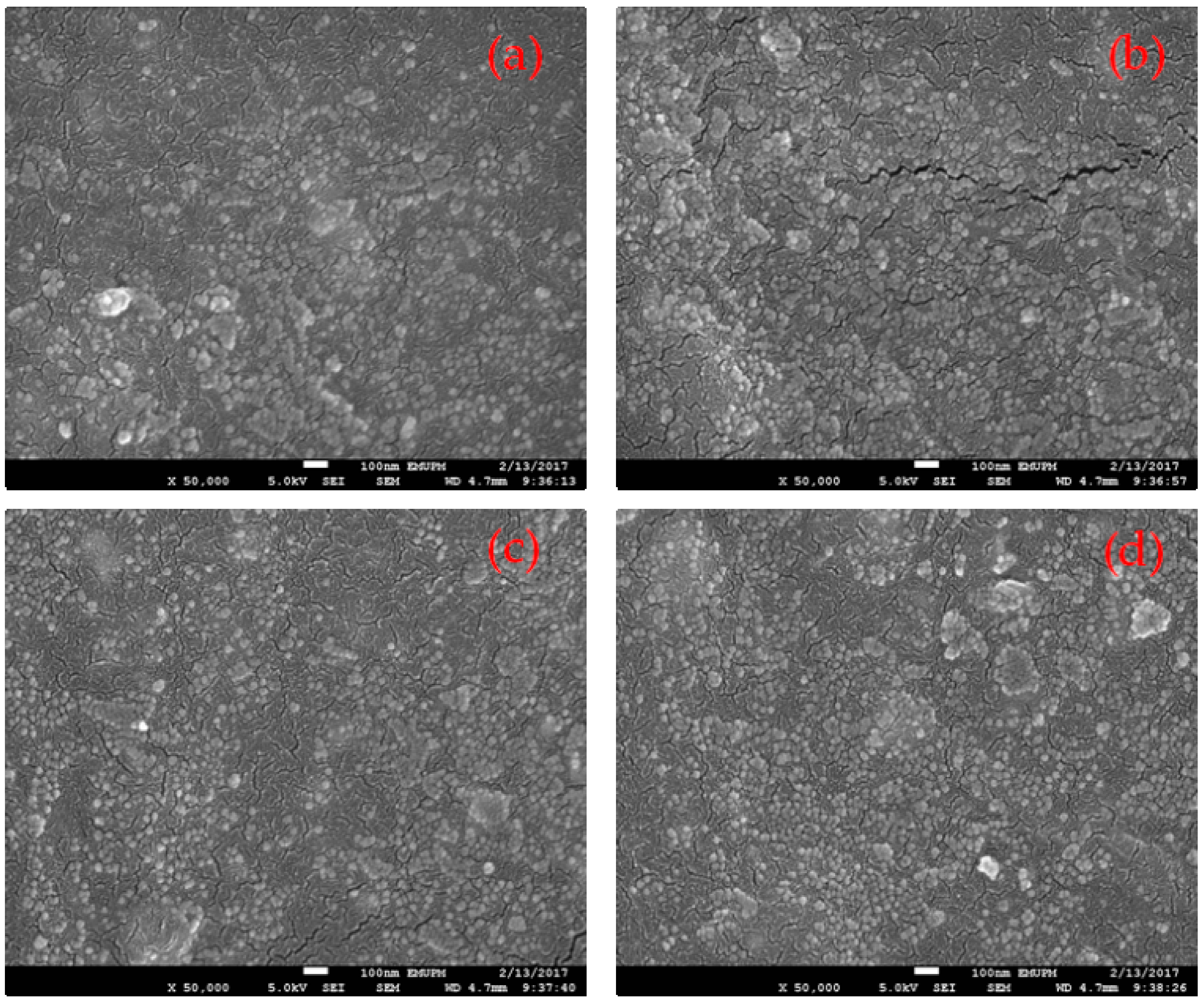 Polymers 11 00918 g005