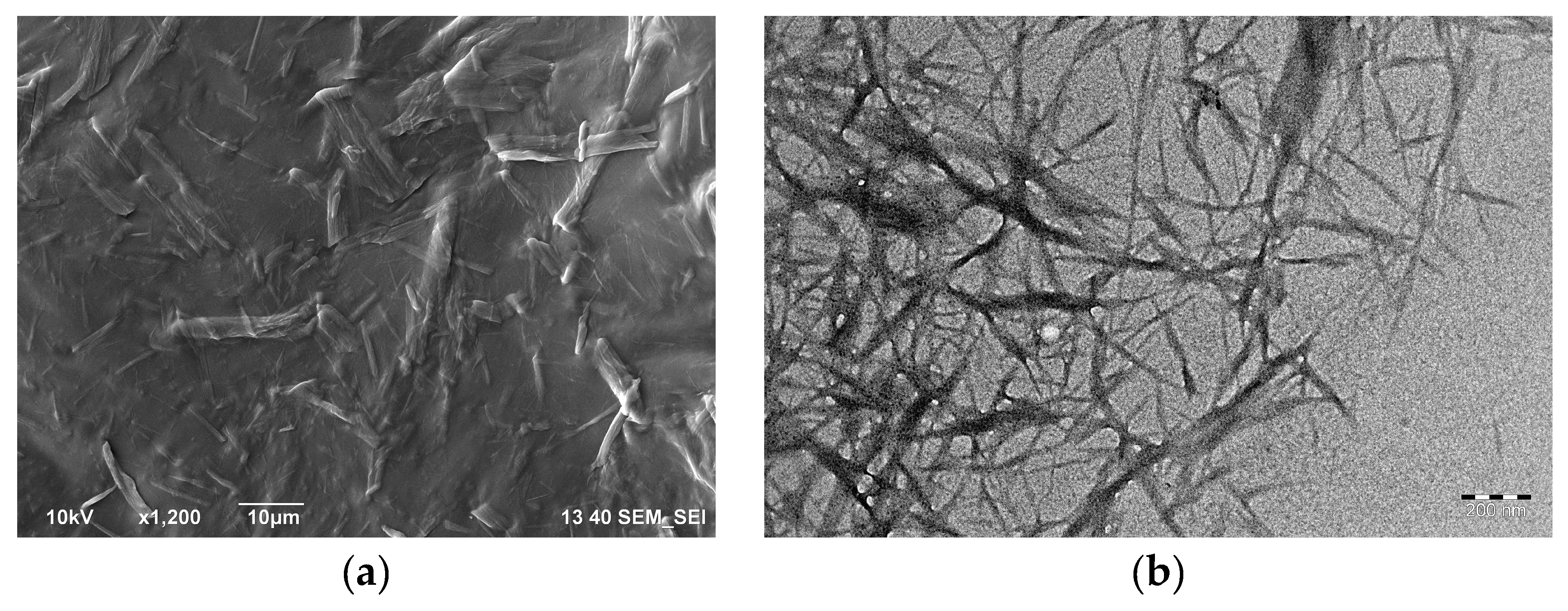 Polymers 11 00919 g001