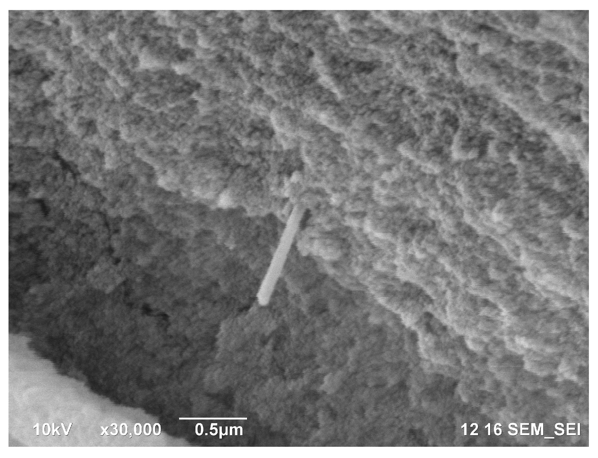 Polymers 11 00919 g007