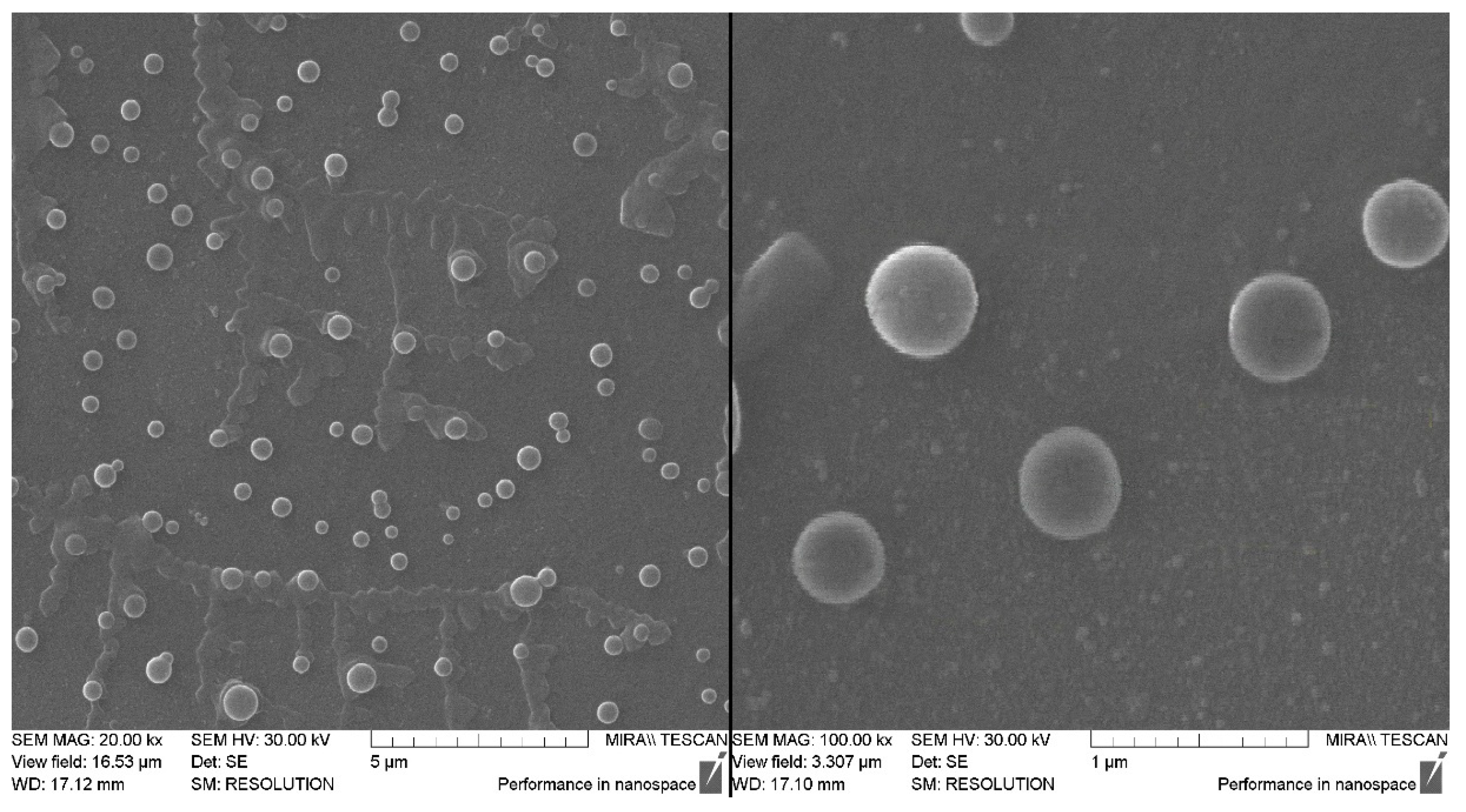 Polymers 11 00921 g003