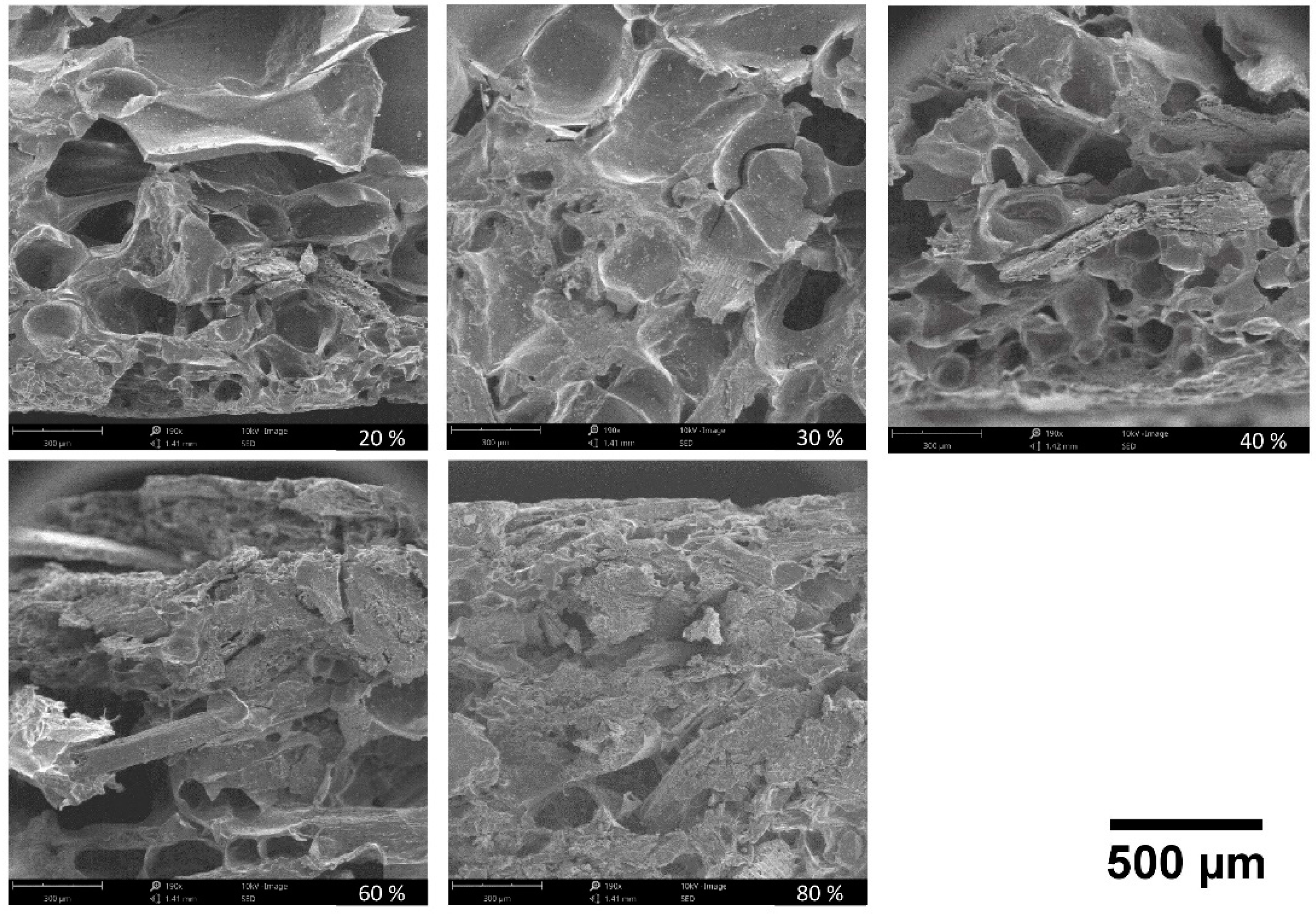Polymers 11 00923 g008 Polymers 11 00923 g008
