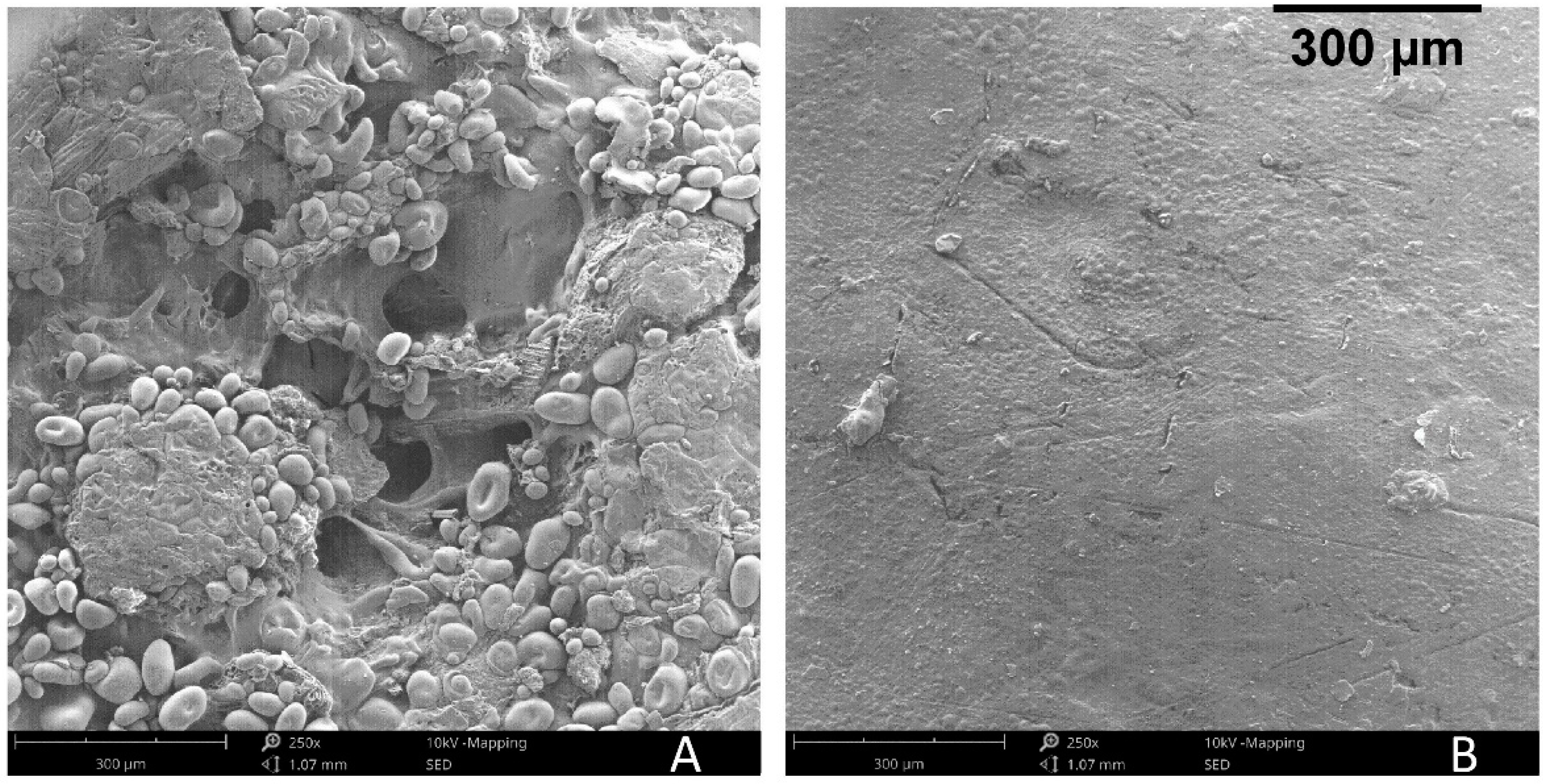 Polymers 11 00923 g010 Polymers 11 00923 g010