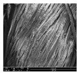 Polymers 11 00928 i002