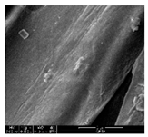 Polymers 11 00928 i004