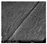 Polymers 11 00928 i005