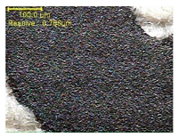 Polymers 11 00928 i006