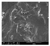 Polymers 11 00928 i009