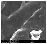 Polymers 11 00928 i010