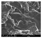 Polymers 11 00928 i014