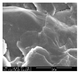 Polymers 11 00928 i015