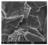 Polymers 11 00928 i024