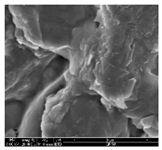 Polymers 11 00928 i030